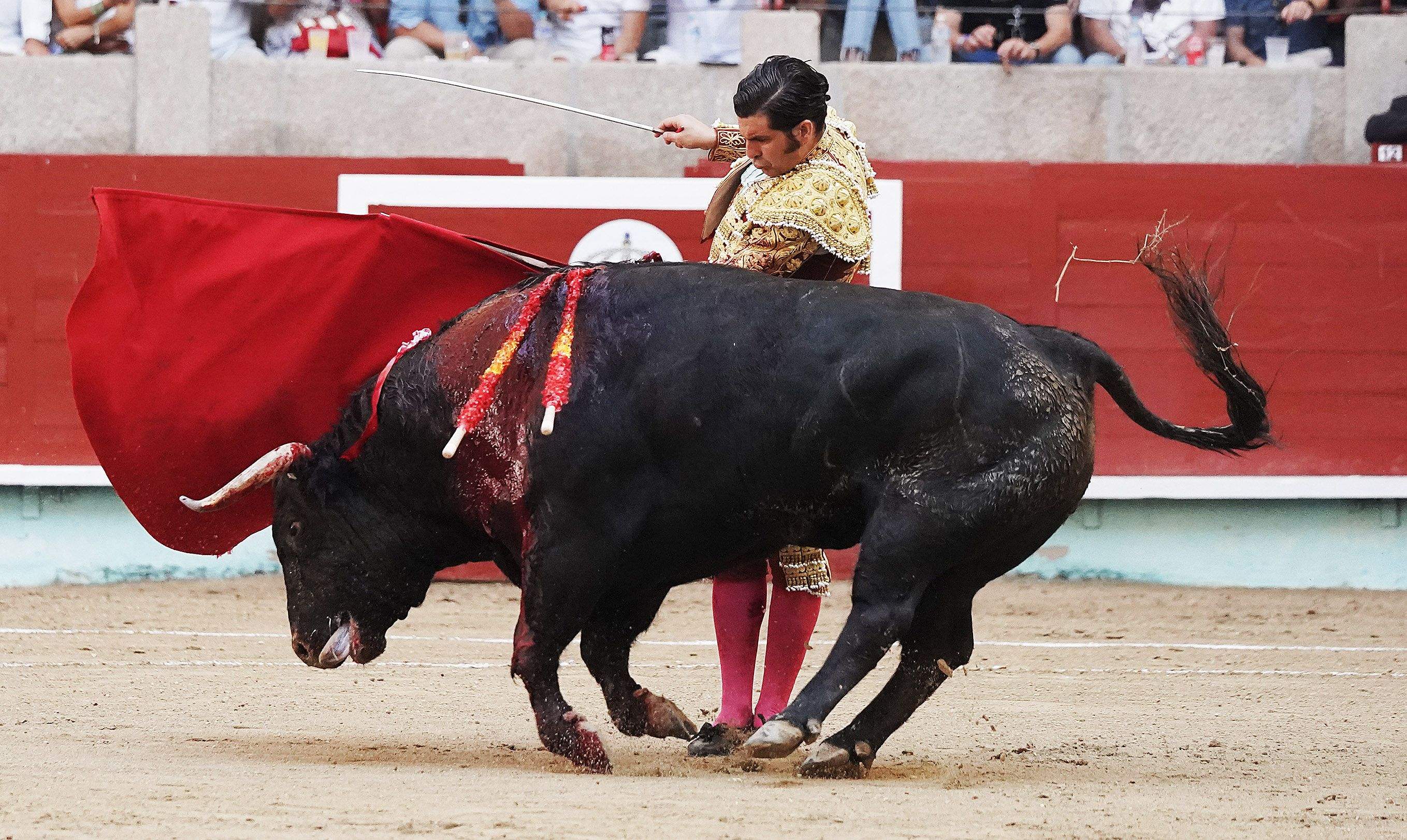 Cogida grave de Morante y salida a hombros de Luque en el domingo de Feria de la Peregrina Cogida grave de Morante y salida a hombros de Luque en el domingo de Feria de la Peregrina