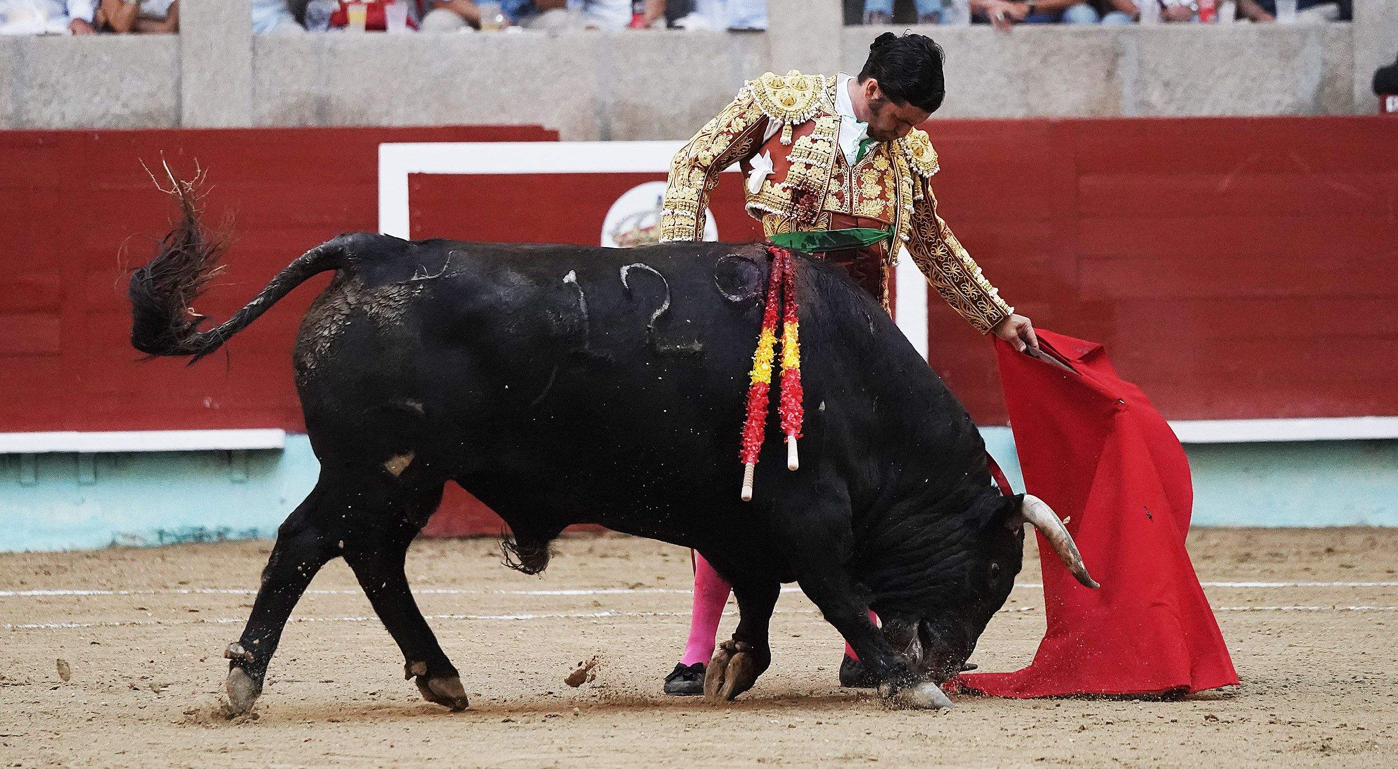 Cogida grave de Morante y salida a hombros de Luque en el domingo de Feria de la Peregrina Cogida grave de Morante y salida a hombros de Luque en el domingo de Feria de la Peregrina
