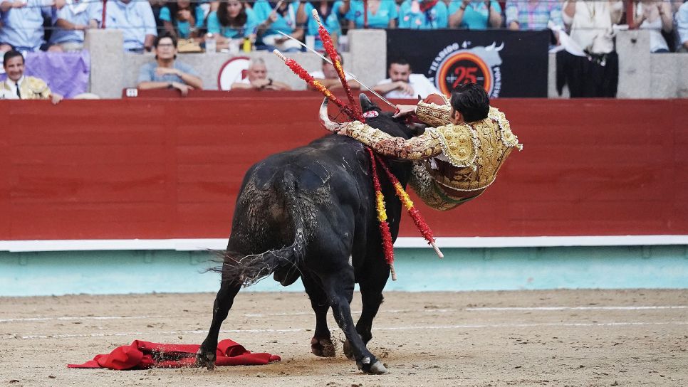 Cogida grave de Morante y salida a hombros de Luque en el domingo de Feria de la Peregrina Cogida grave de Morante y salida a hombros de Luque en el domingo de Feria de la Peregrina