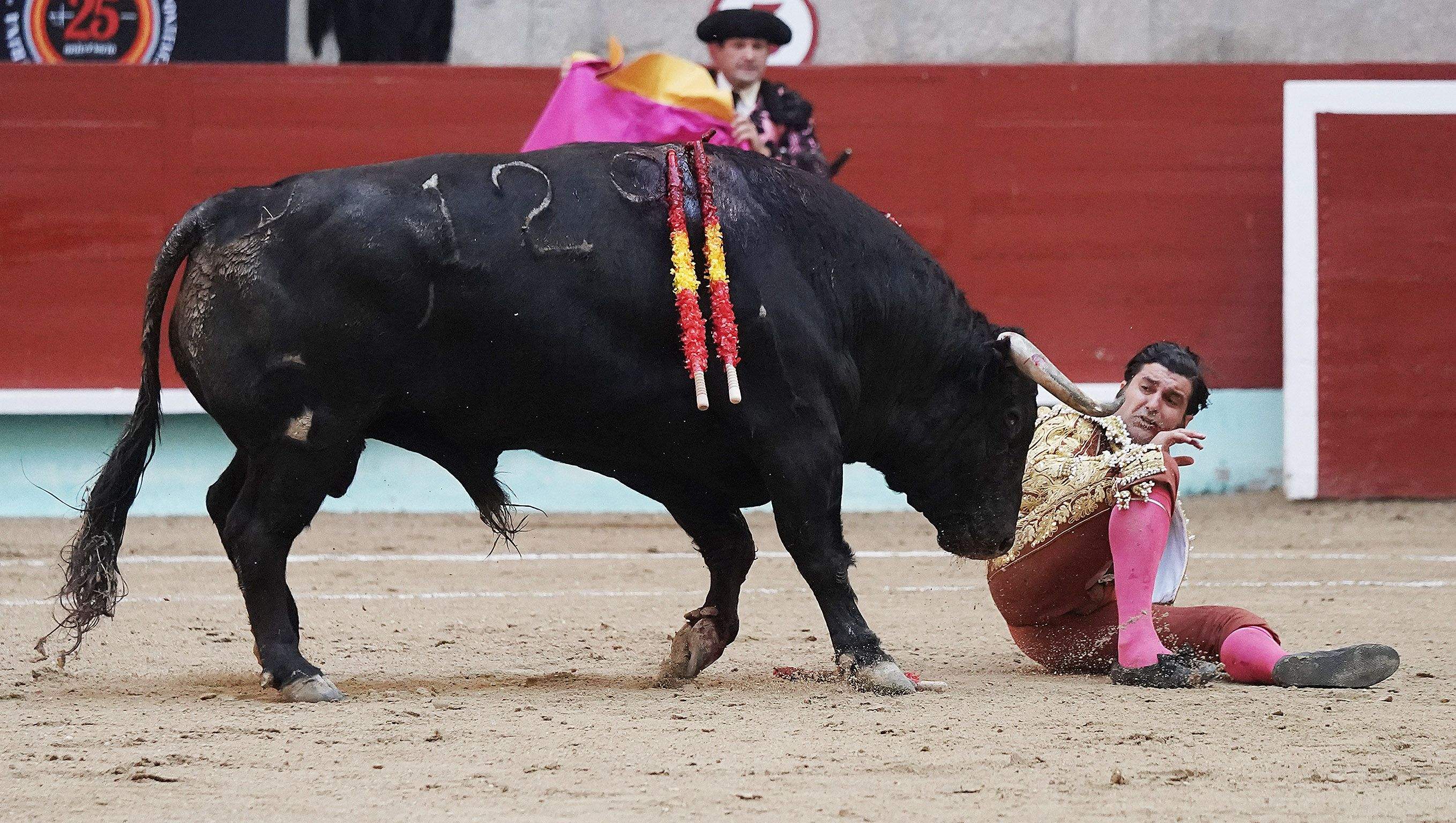 Cogida grave de Morante y salida a hombros de Luque en el domingo de Feria de la Peregrina Cogida grave de Morante y salida a hombros de Luque en el domingo de Feria de la Peregrina