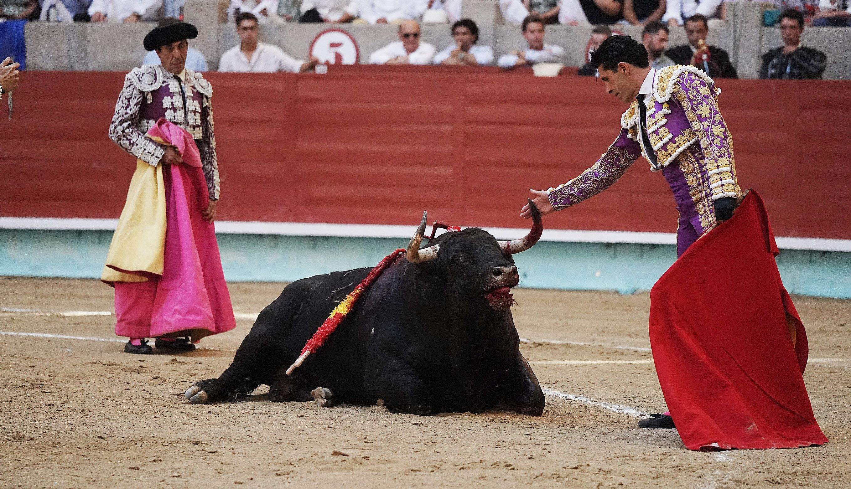 Cogida grave de Morante y salida a hombros de Luque en el domingo de Feria de la Peregrina Cogida grave de Morante y salida a hombros de Luque en el domingo de Feria de la Peregrina