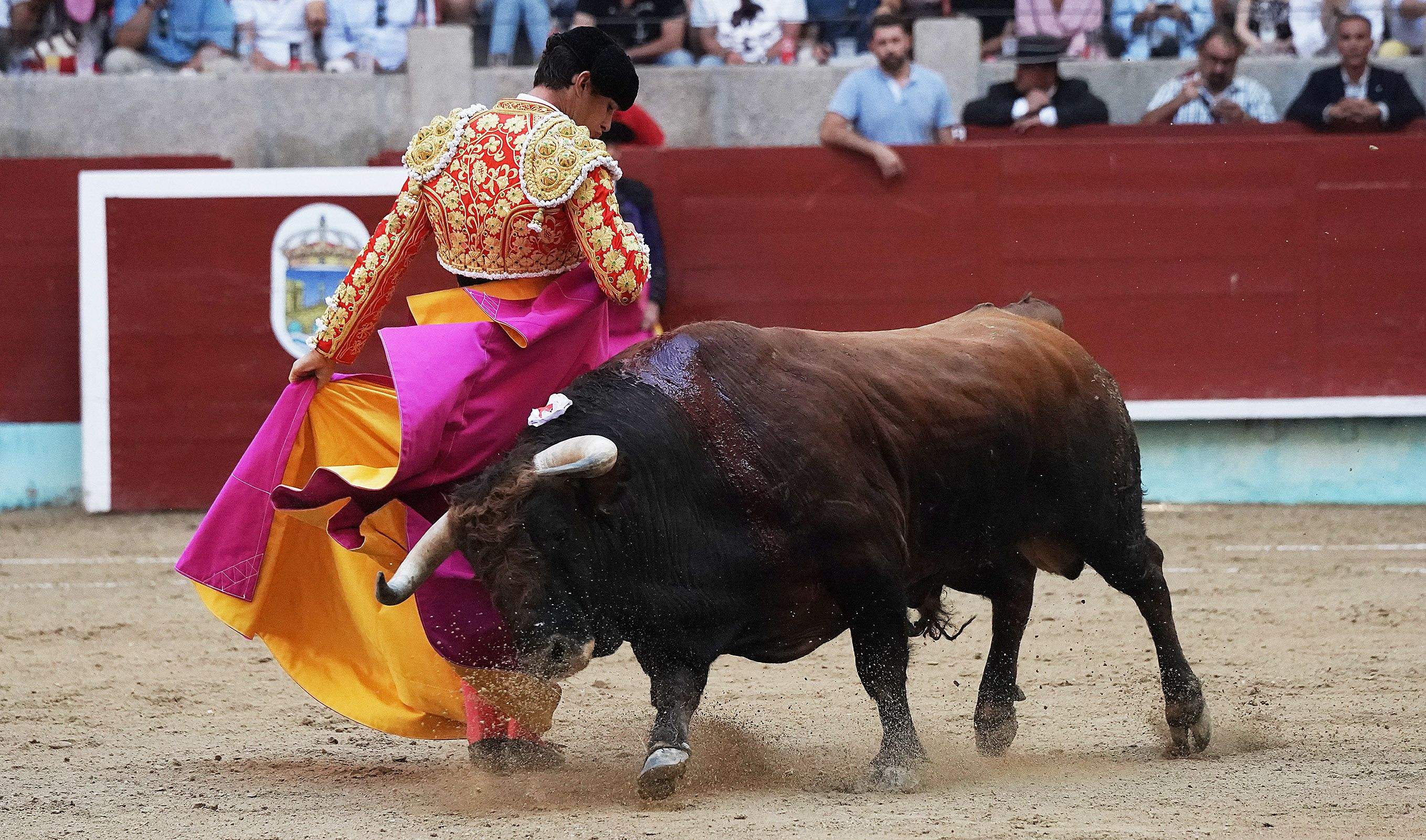 Cogida grave de Morante y salida a hombros de Luque en el domingo de Feria de la Peregrina Cogida grave de Morante y salida a hombros de Luque en el domingo de Feria de la Peregrina