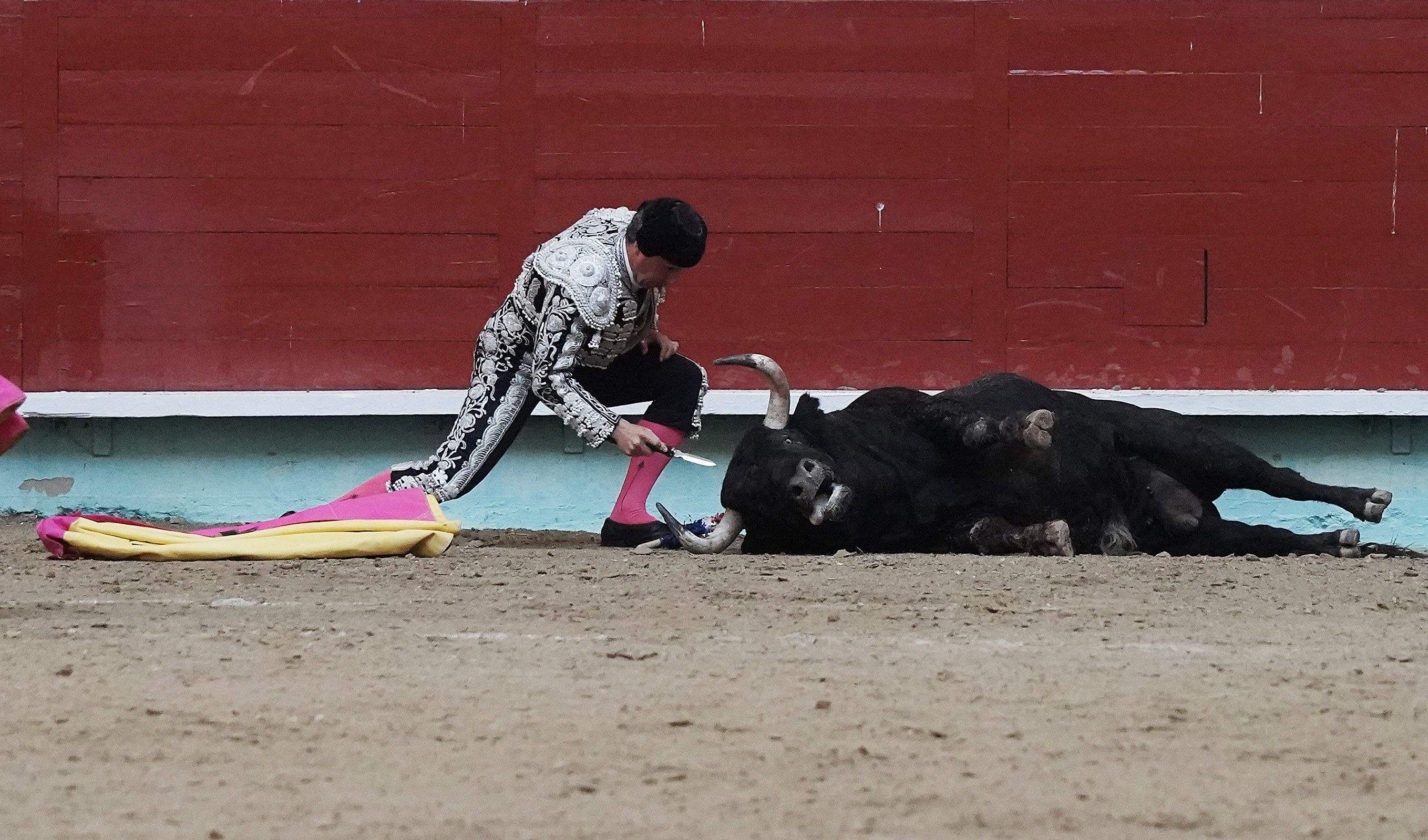 Cogida grave de Morante y salida a hombros de Luque en el domingo de Feria de la Peregrina Cogida grave de Morante y salida a hombros de Luque en el domingo de Feria de la Peregrina