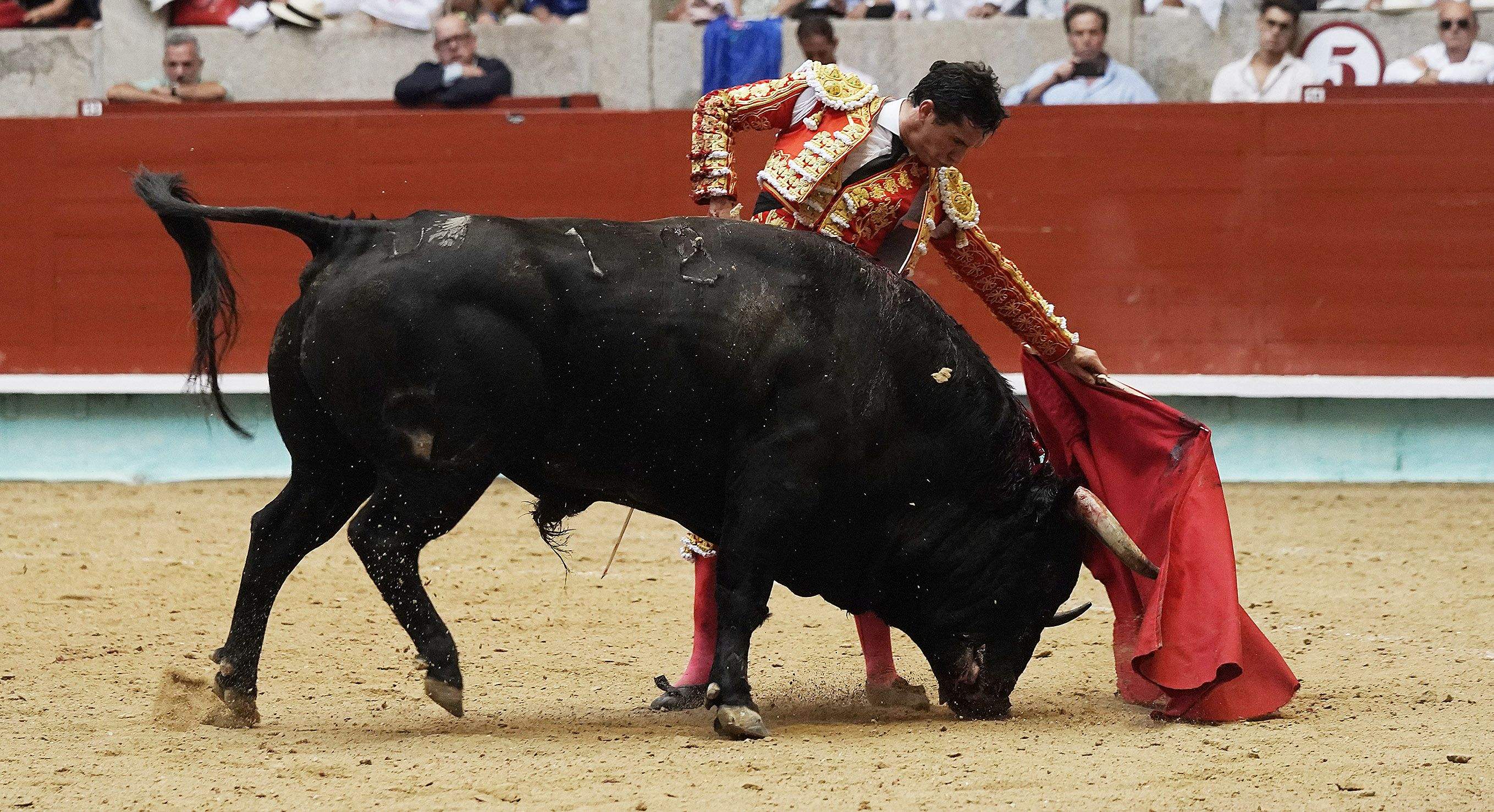Cogida grave de Morante y salida a hombros de Luque en el domingo de Feria de la Peregrina Cogida grave de Morante y salida a hombros de Luque en el domingo de Feria de la Peregrina