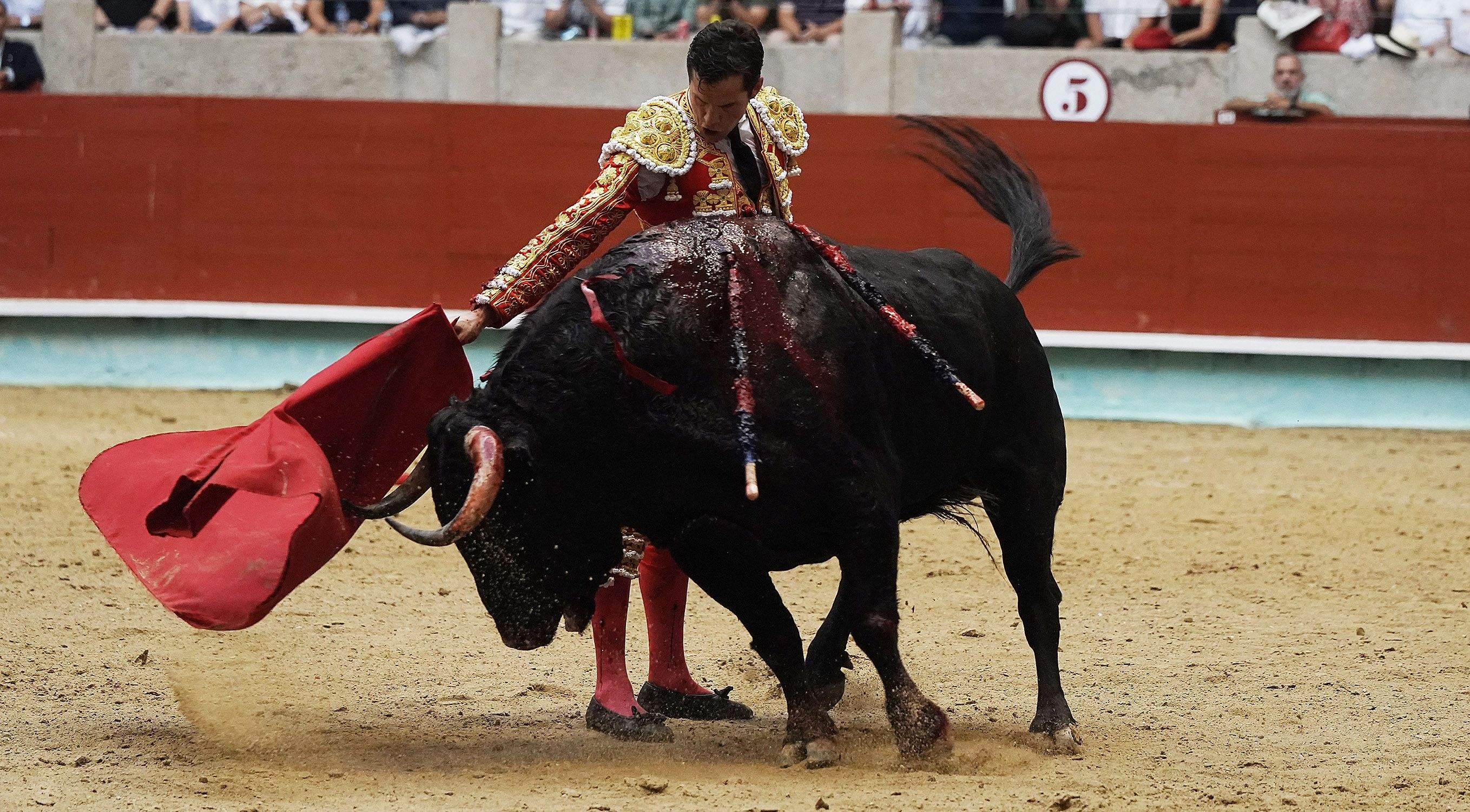 Cogida grave de Morante y salida a hombros de Luque en el domingo de Feria de la Peregrina Cogida grave de Morante y salida a hombros de Luque en el domingo de Feria de la Peregrina