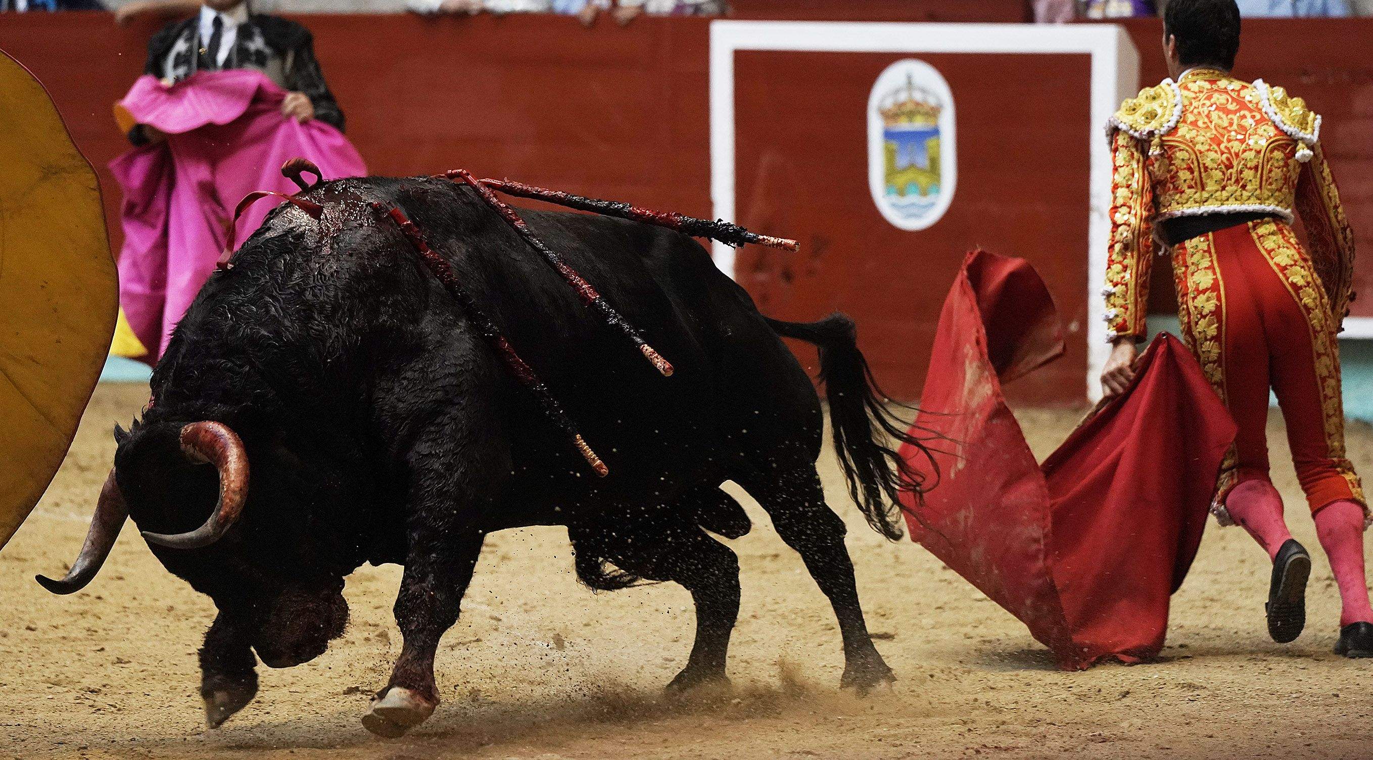 Cogida grave de Morante y salida a hombros de Luque en el domingo de Feria de la Peregrina Cogida grave de Morante y salida a hombros de Luque en el domingo de Feria de la Peregrina
