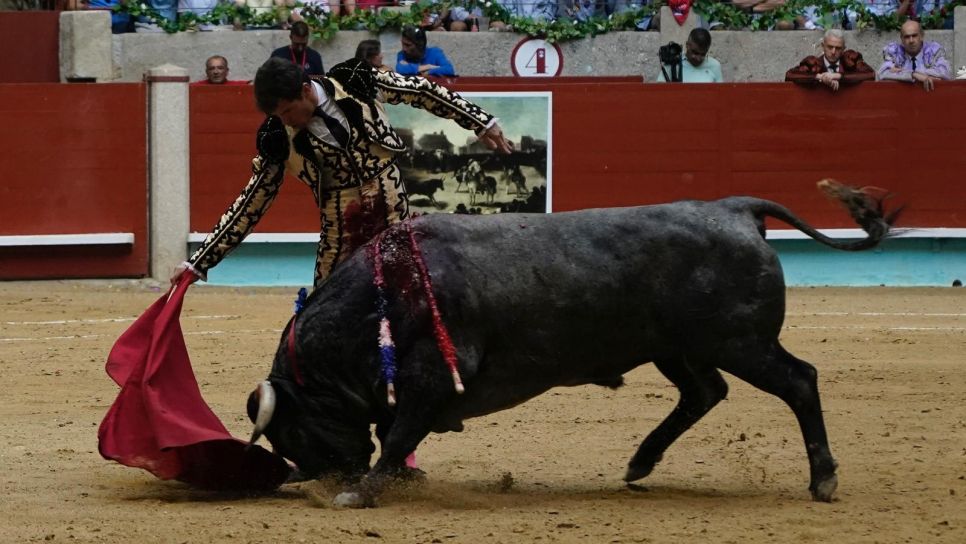 Daniel Luque durante el tercer festejo de la Feria de la Peregrina 2025 Daniel Luque durante el tercer festejo de la Feria de la Peregrina 2025