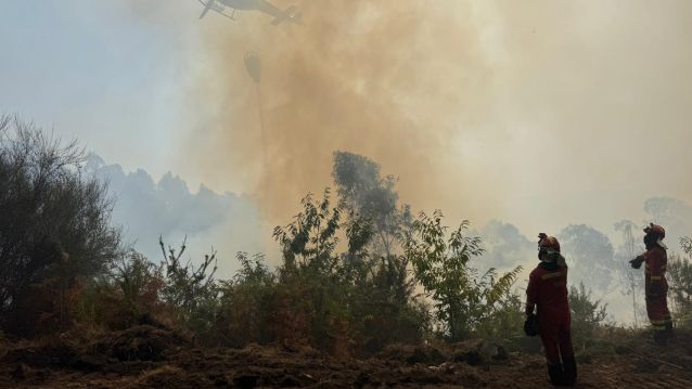 Militares de la UME trabajan en el incendio forestal de Santa Cristina de Cobres Militares de la UME trabajan en el incendio forestal de Santa Cristina de Cobres