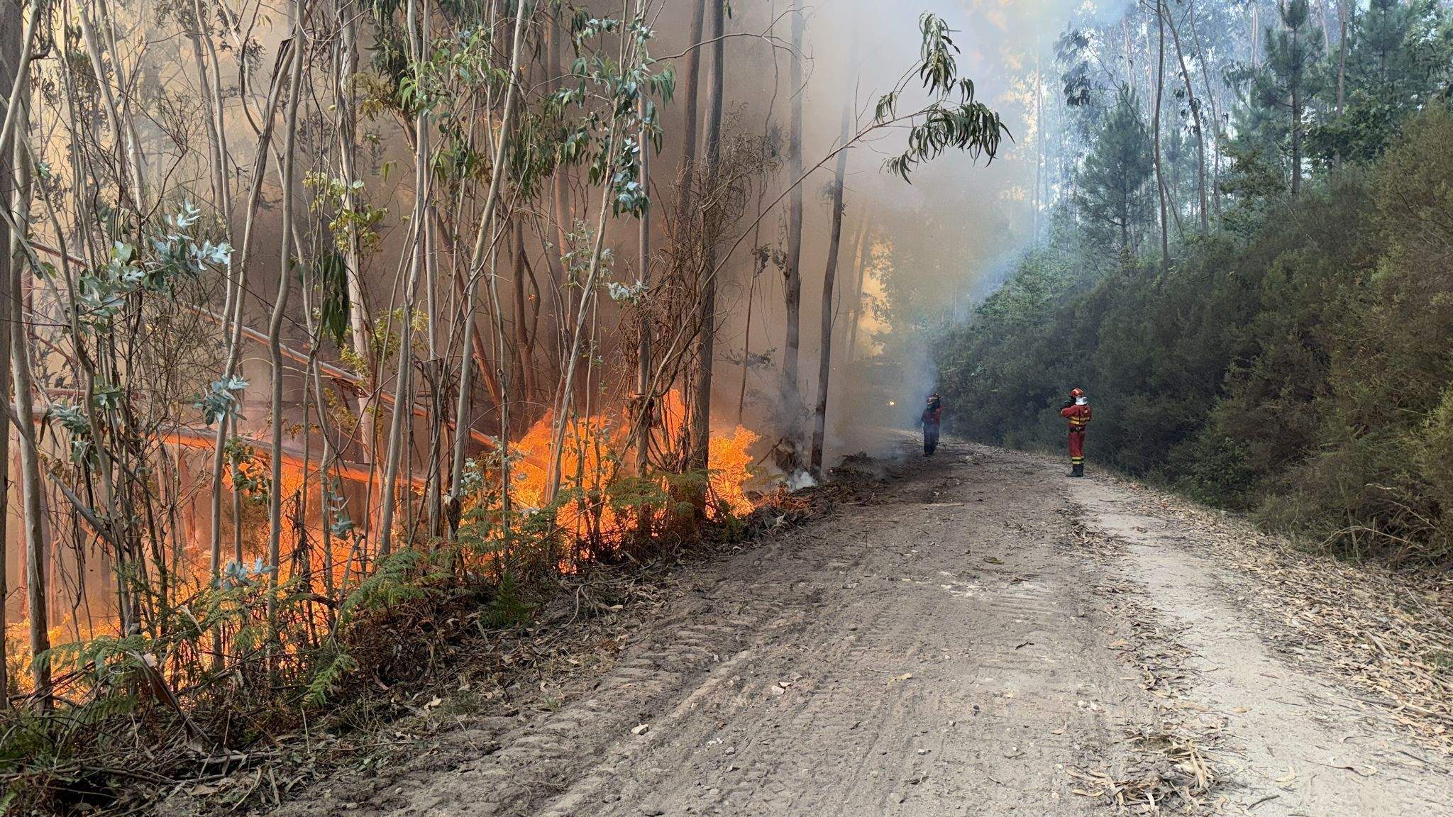 Militares de la UME trabajan en el incendio forestal de Santa Cristina de Cobres