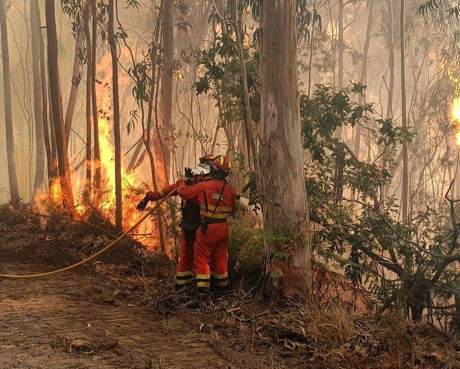 Militares de la UME trabajan en el incendio forestal de Santa Cristina de Cobres