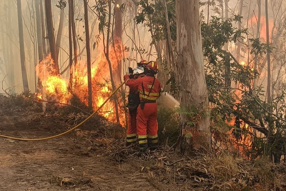 Militares de la UME trabajan en el incendio forestal de Santa Cristina de Cobres