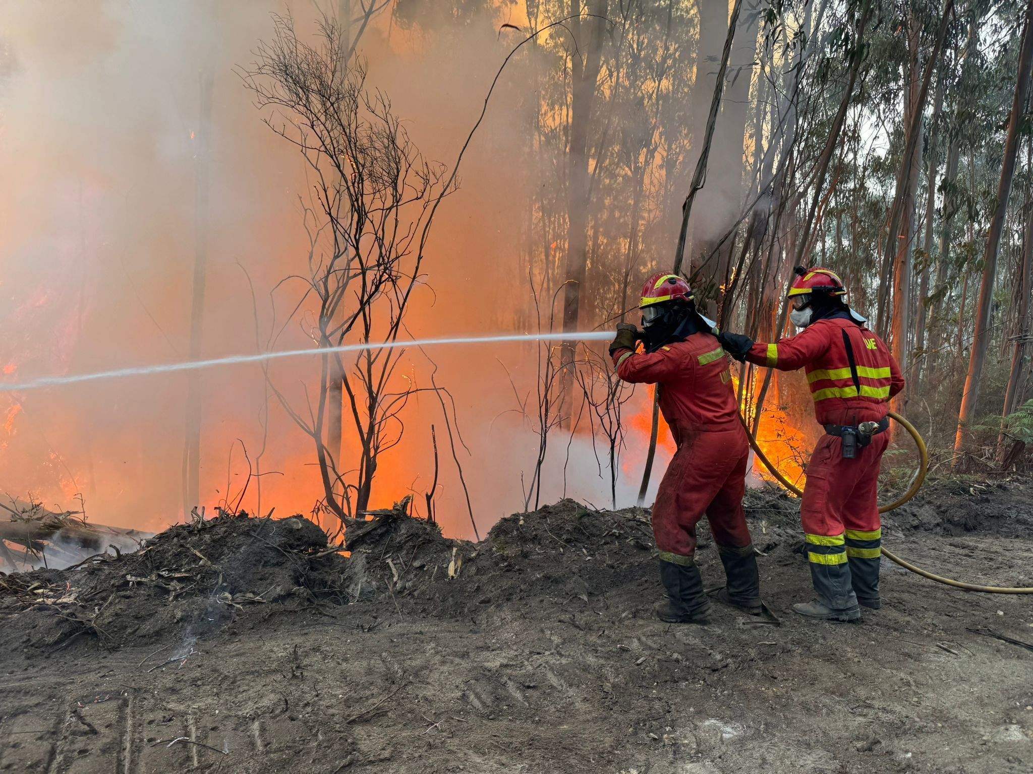 Militares de la UME trabajan en el incendio forestal de Santa Cristina de Cobres