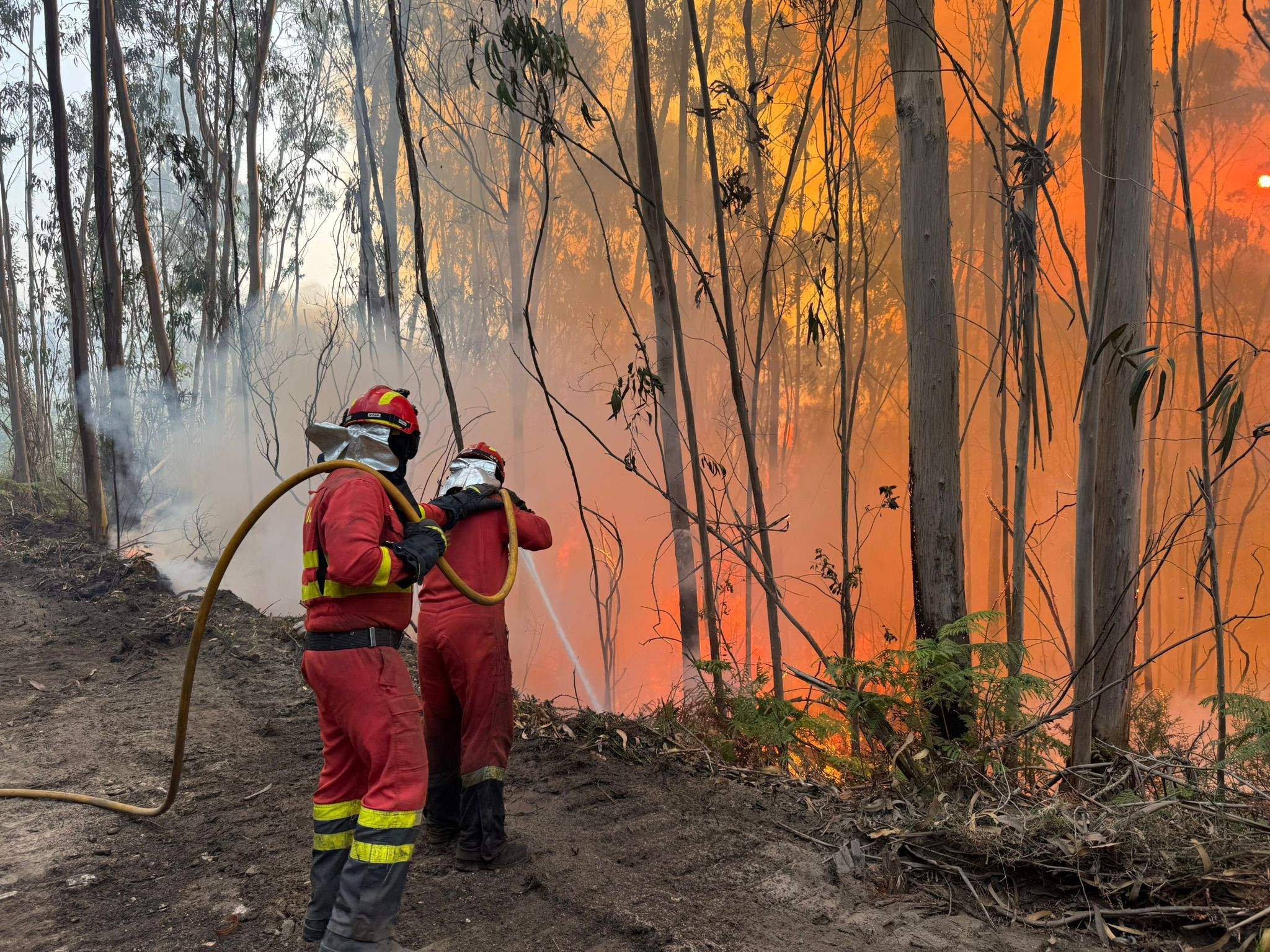 Militares de la UME trabajan en el incendio forestal de Santa Cristina de Cobres Militares de la UME trabajan en el incendio forestal de Santa Cristina de Cobres