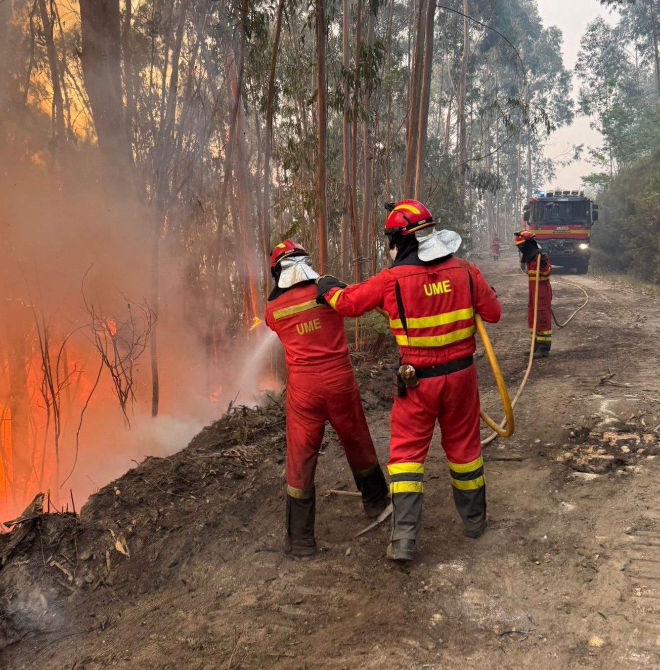 Militares de la UME trabajan en el incendio forestal de Santa Cristina de Cobres