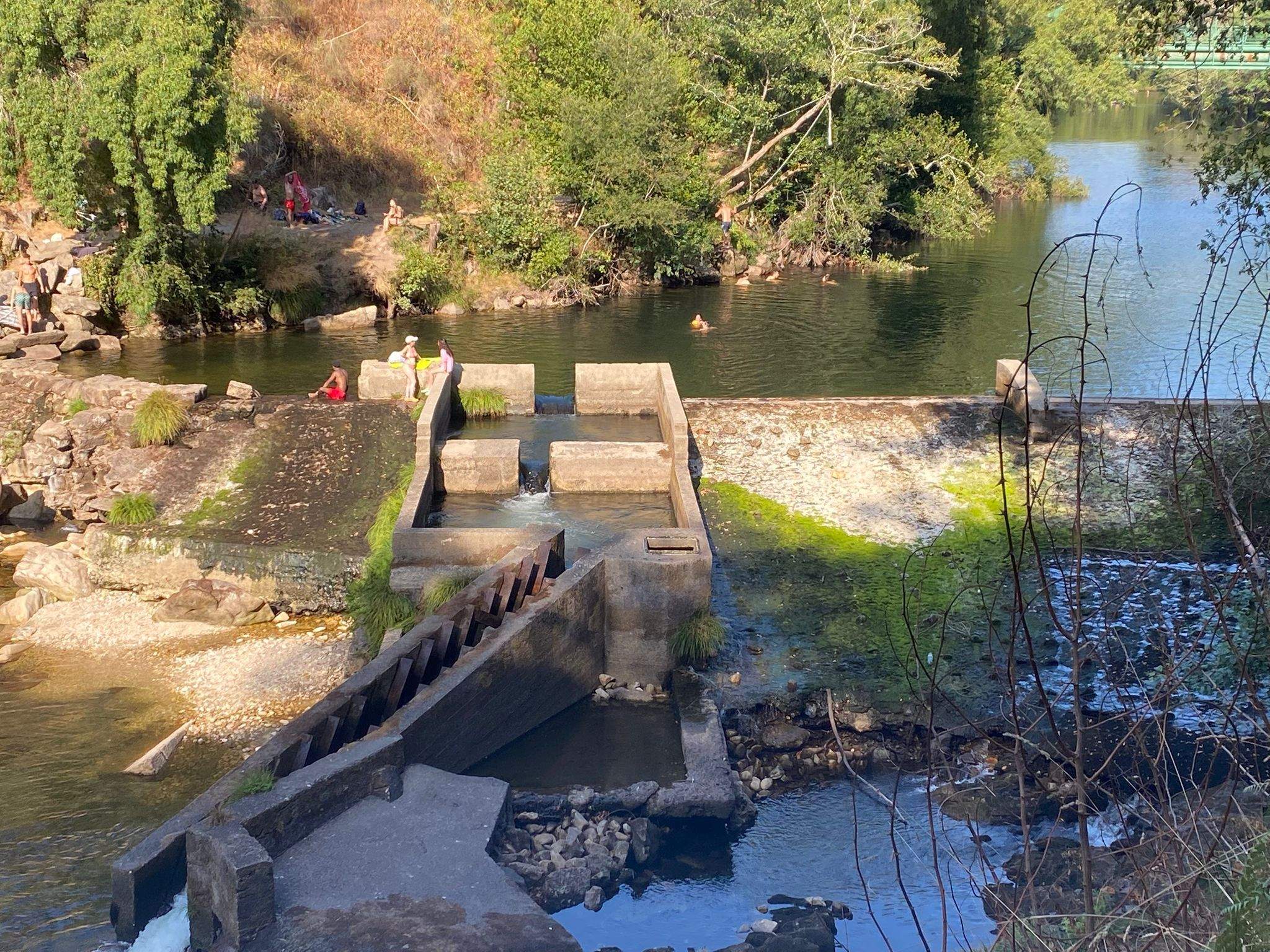 Río Lérez a la altura de Monte Porreiro