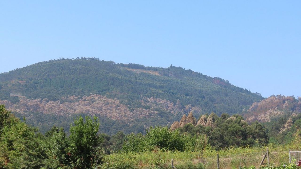 Zona afectada por el incendio en Santa Cristina de Cobres