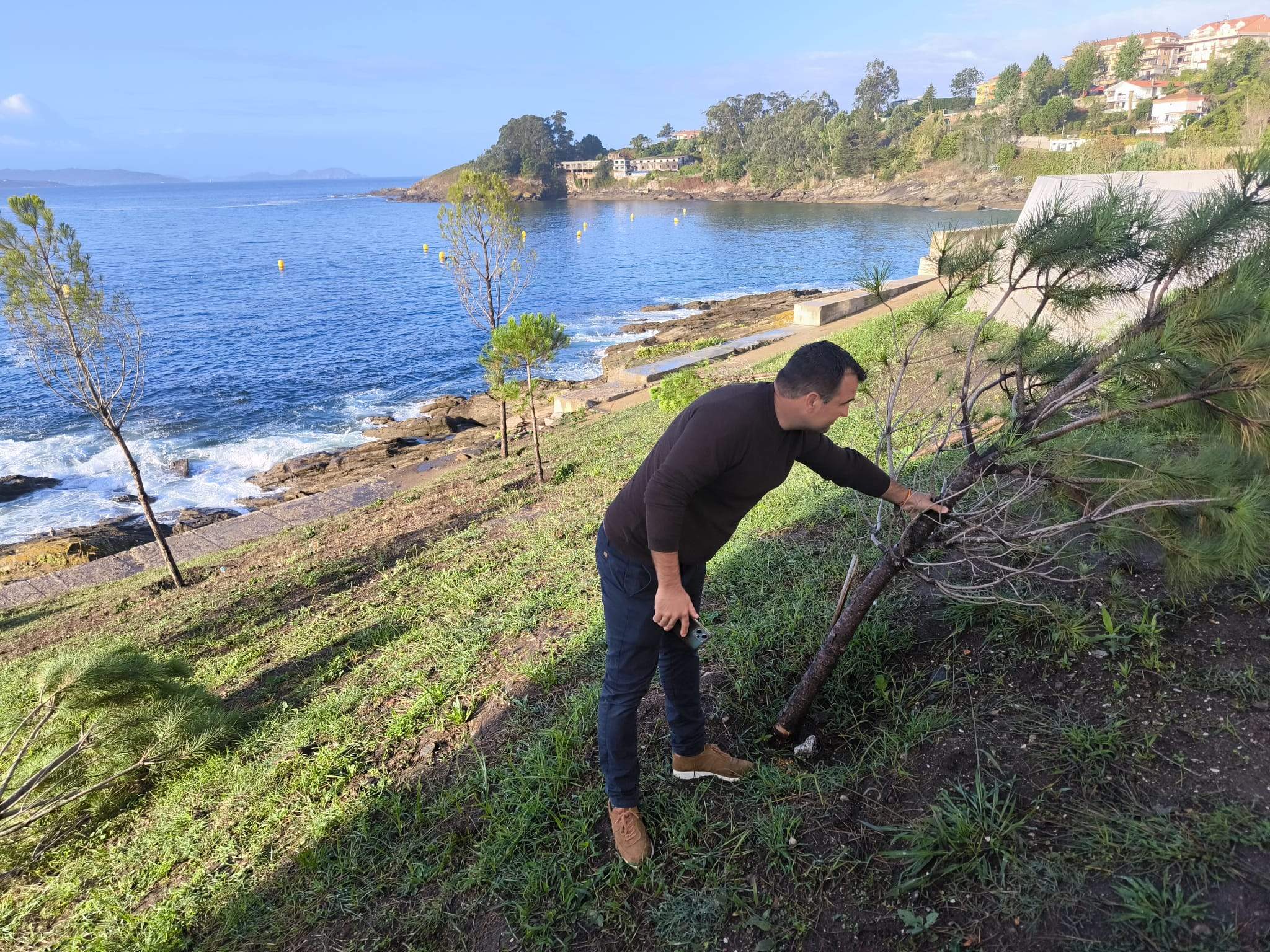 Pinos tallados no Miradoiro da Peixeira