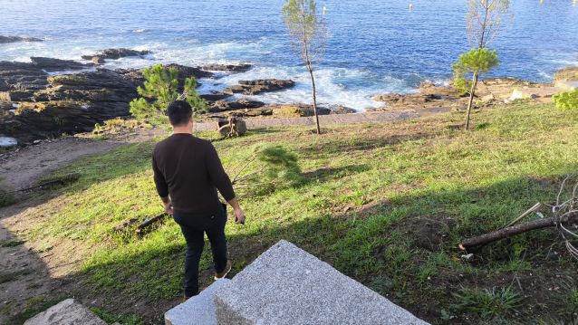Pinos tallados no Miradoiro da Peixeira Pinos tallados no Miradoiro da Peixeira