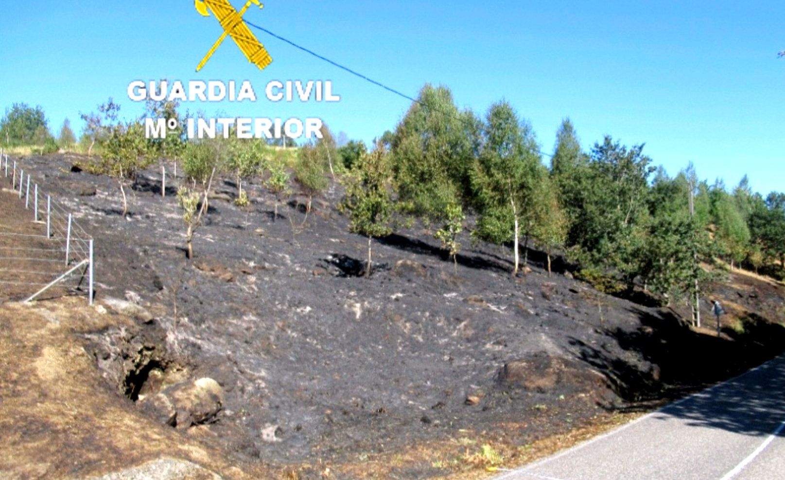 Zona quemada en Fornelos de Montes