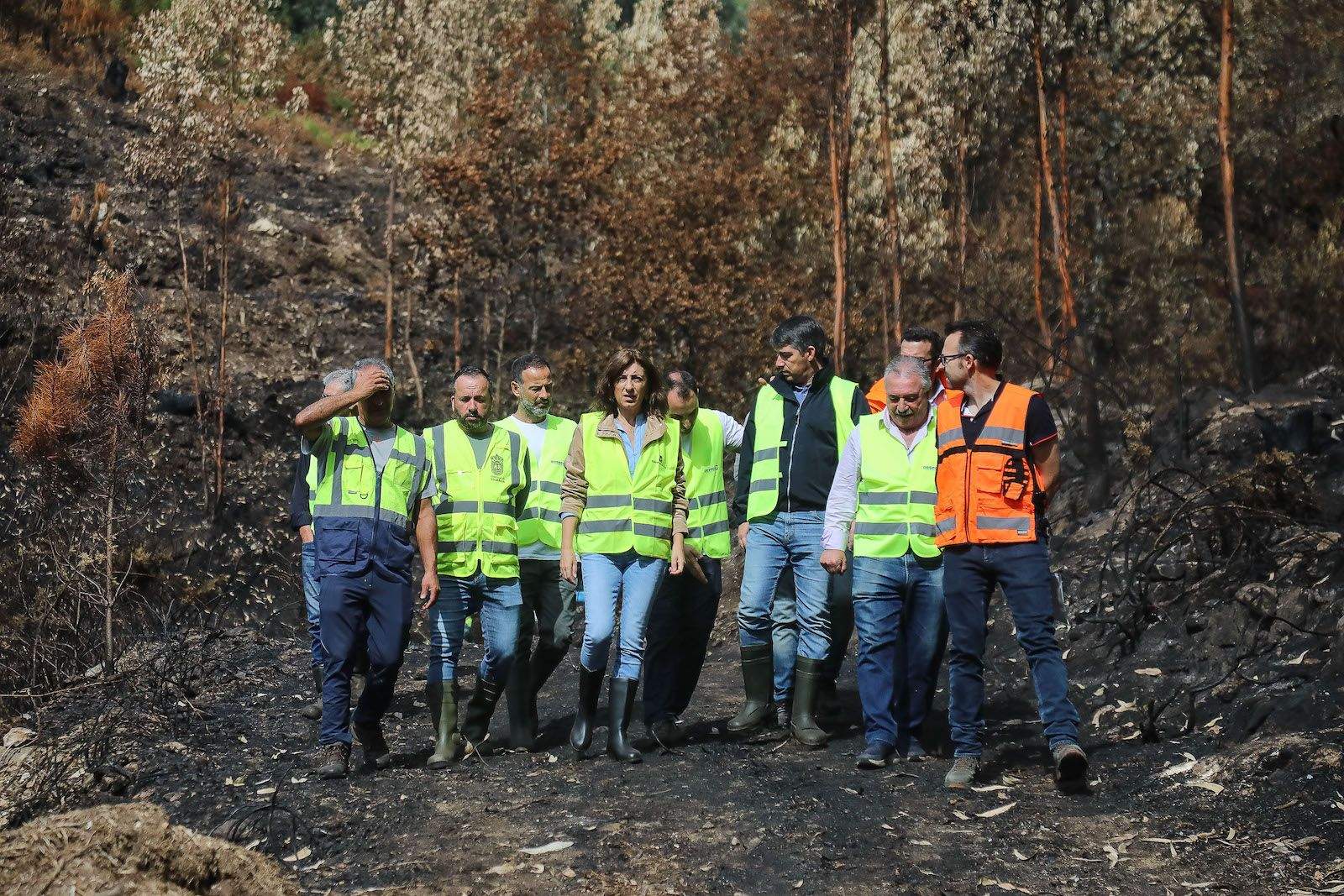 Ángeles Vázquez visita os traballos para protexer os ríos de Vilaboa das cinzas dos incendios