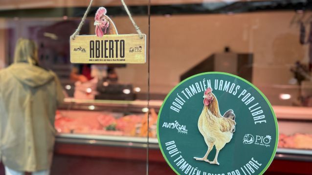 Pollo Pío Campero