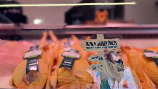 Pollo Pío Campero