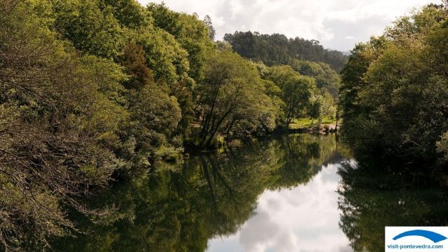 Bosque de riberaen los márgenes del río Lérez
