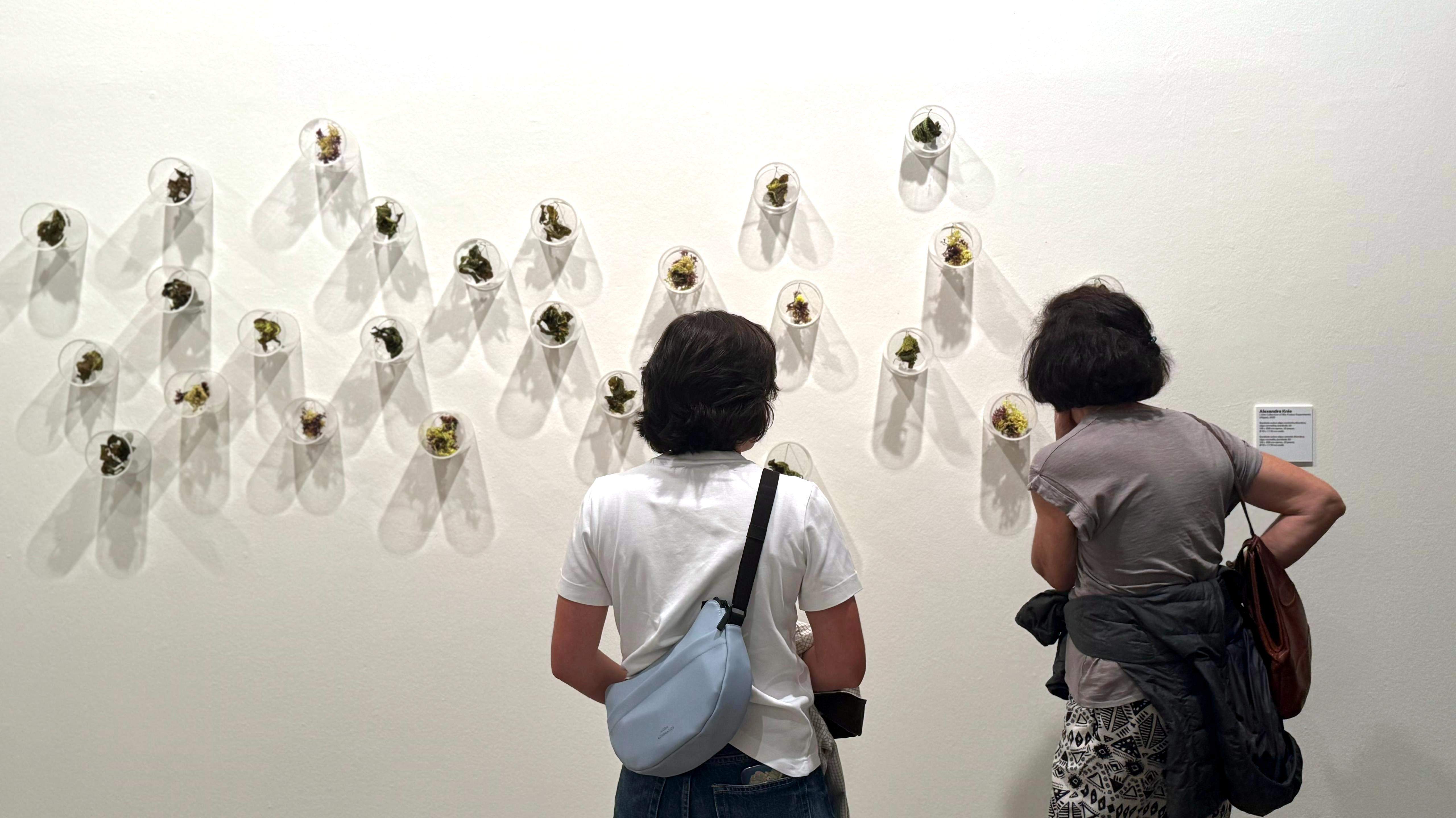 Obra en ‘Modos de ver’ no Pazo da Cultura