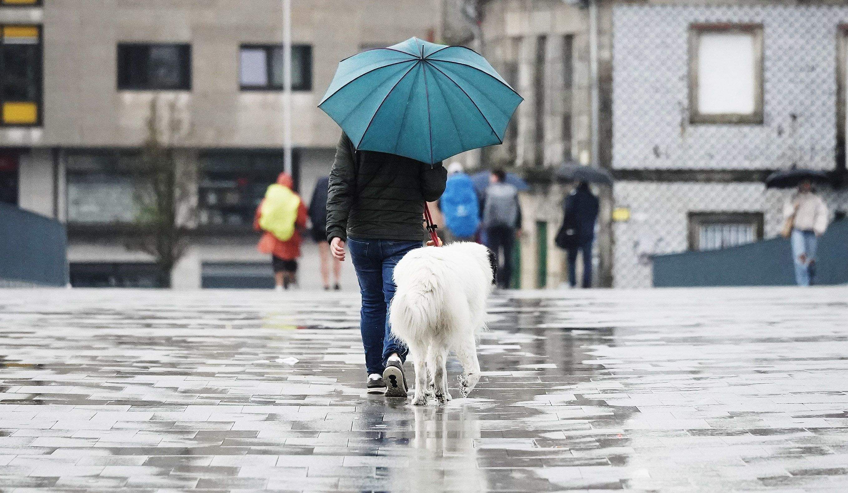 Jornada de lluvia en Pontevedra