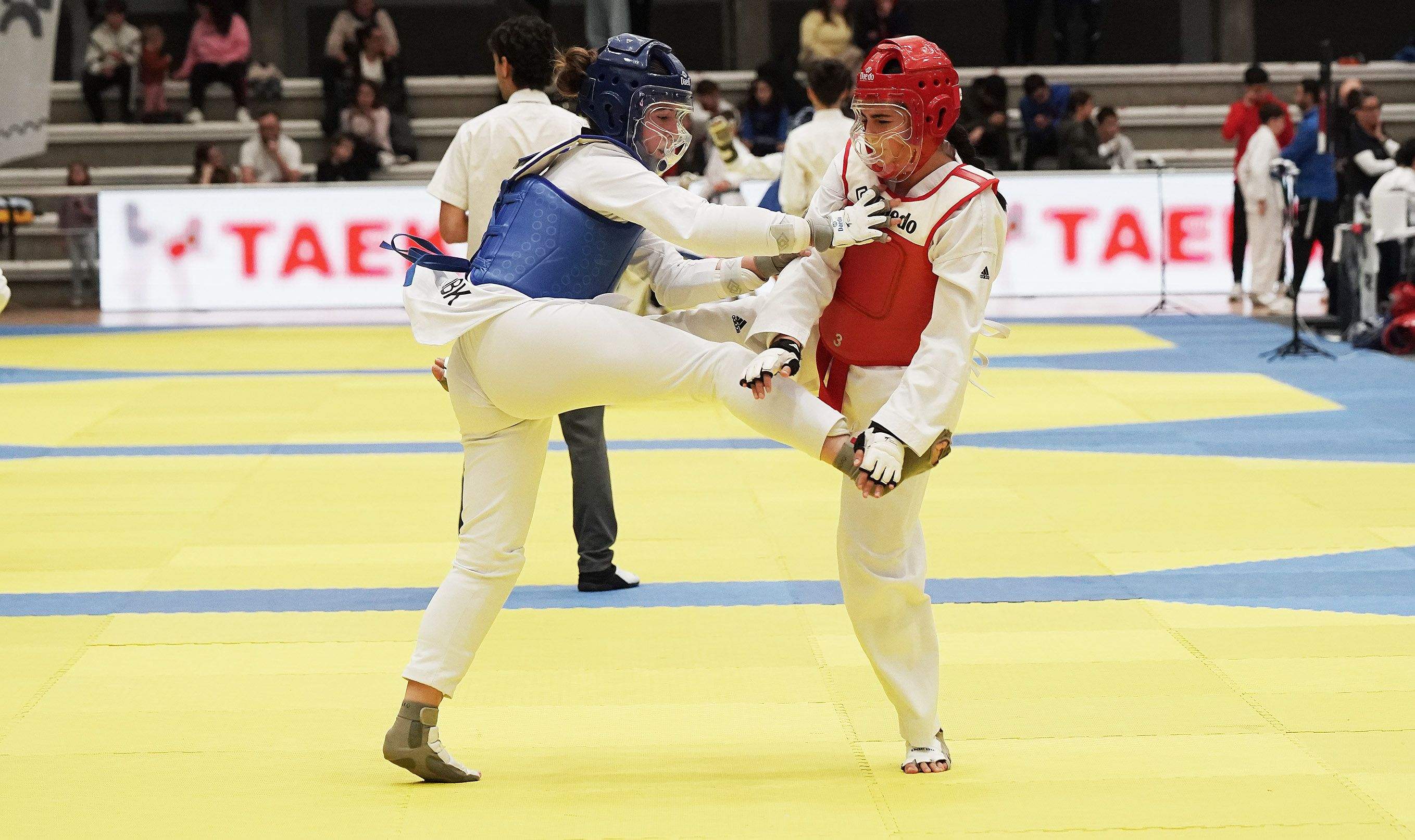 27 edición del Open Internacional de Taekwondo Cidade de Pontevedra