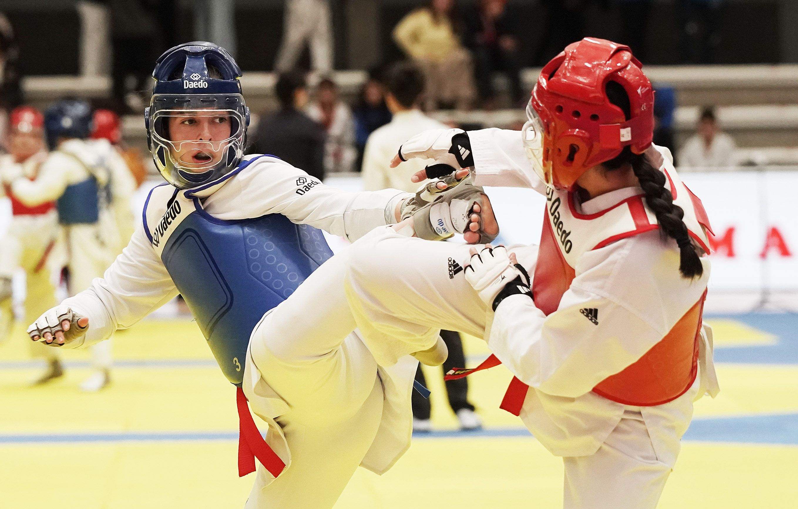 27 edición del Open Internacional de Taekwondo Cidade de Pontevedra