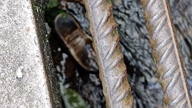 Un zapato na canle da auga que atravesa a Rúa do Santo