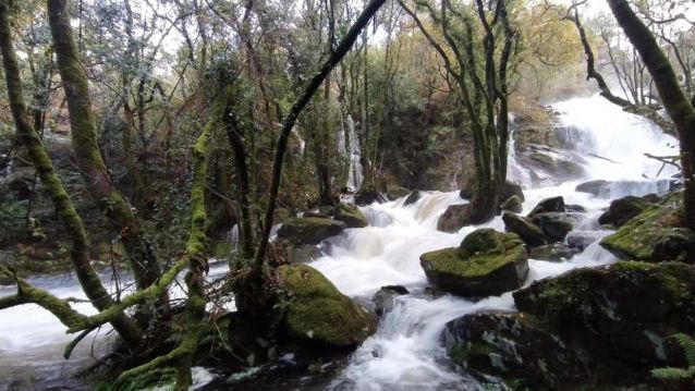 Imaxe do concurso 'Cuntis en Cores de Outono'