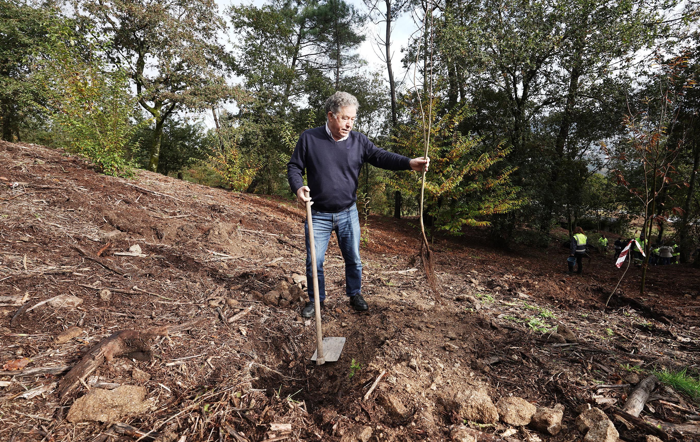A organización do Multisport realiza unha plantación de castiñeiros na Tomba