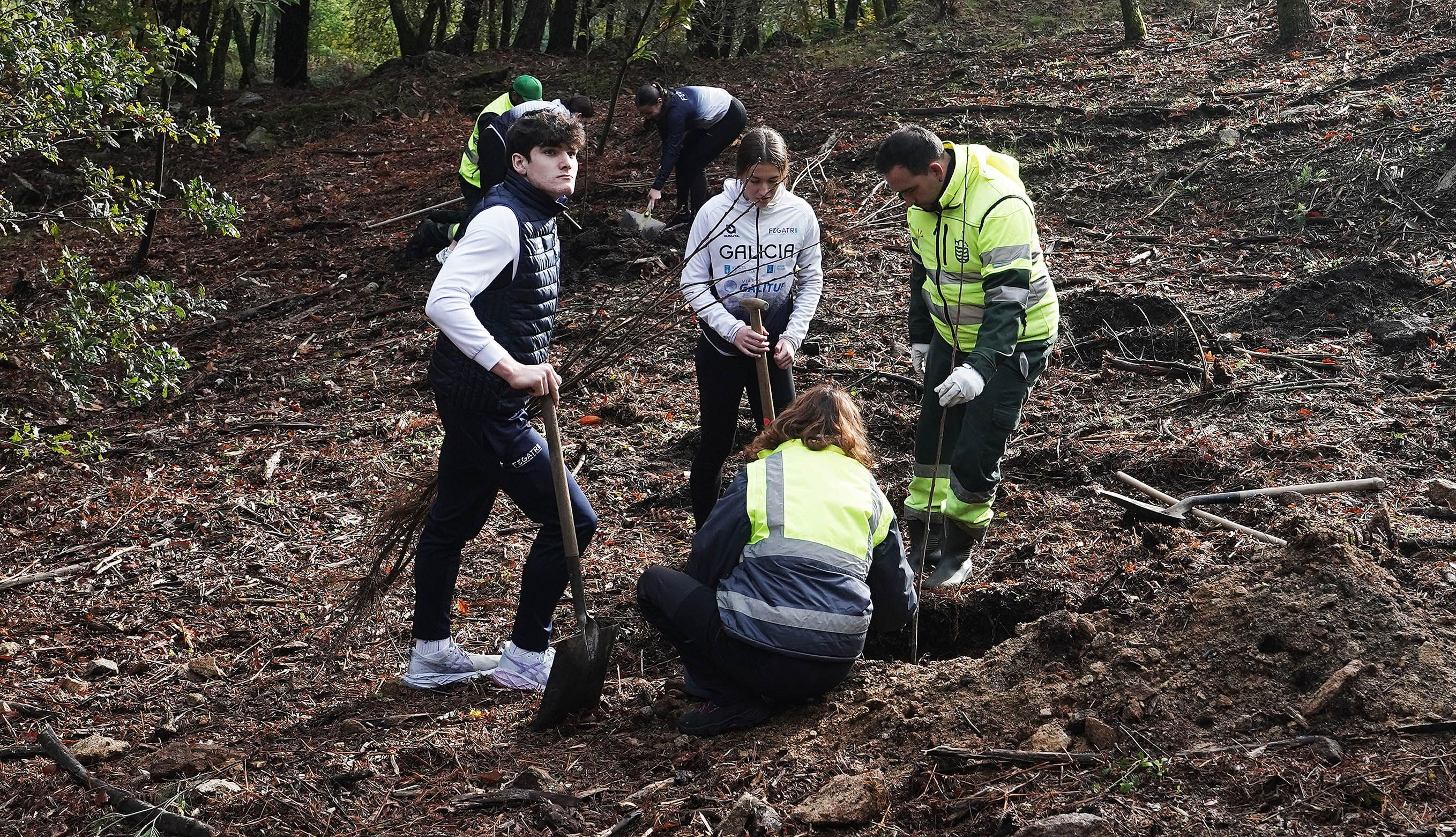 A organización do Multisport realiza unha plantación de castiñeiros na Tomba