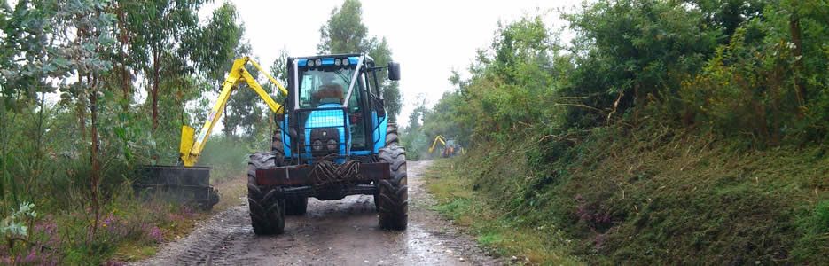 Desbroces en los montes de Cobres