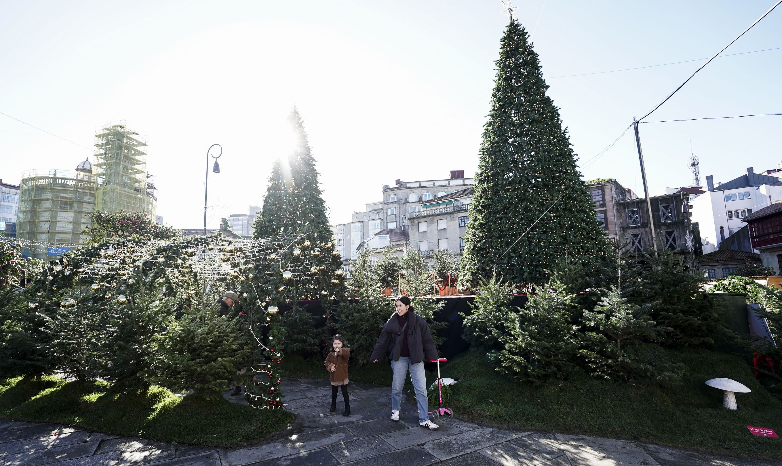 La Navidad ya se deja sentir en la Boa Vila La Navidad ya se deja sentir en la Boa Vila