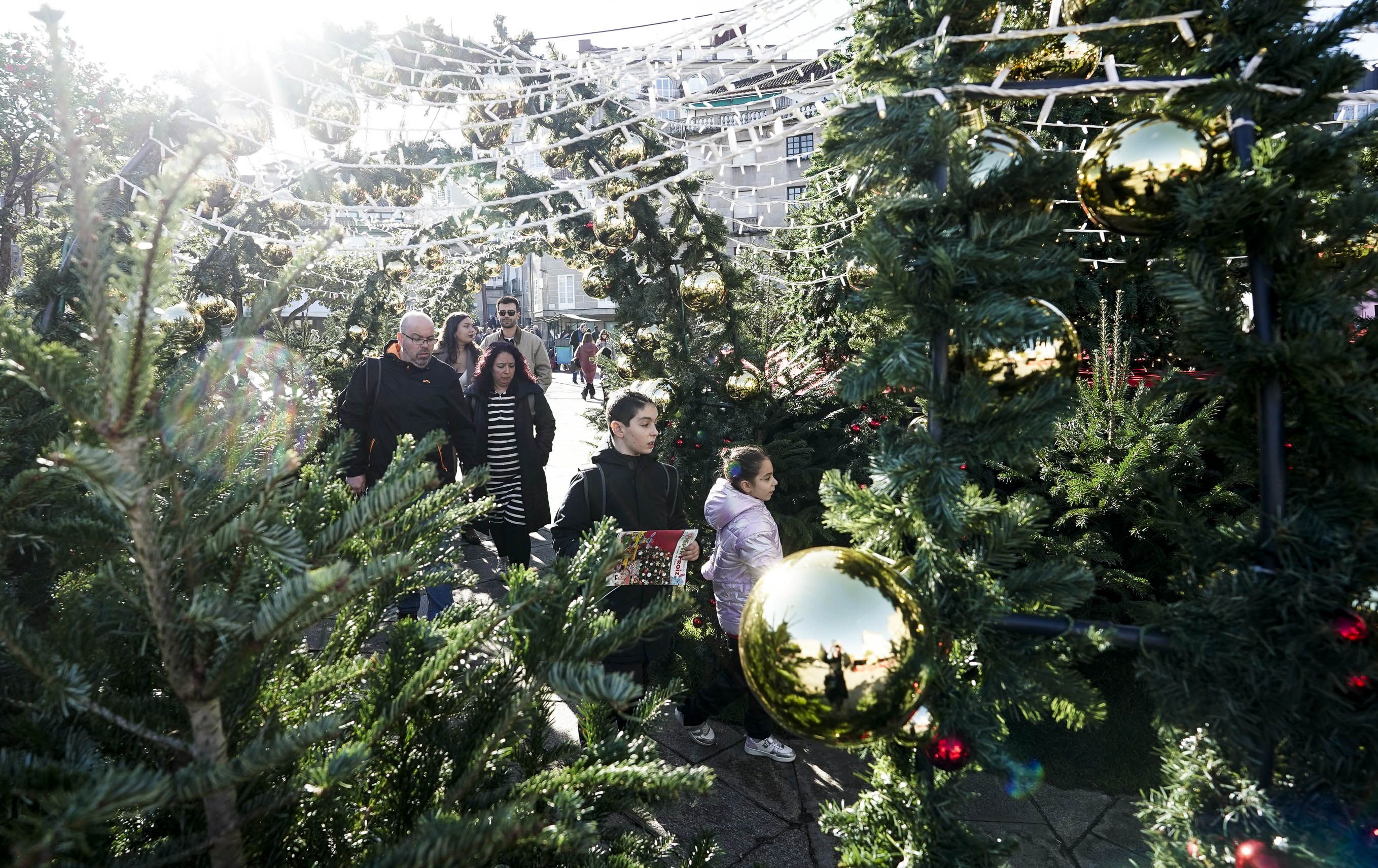 La Navidad ya se deja sentir en la Boa Vila La Navidad ya se deja sentir en la Boa Vila