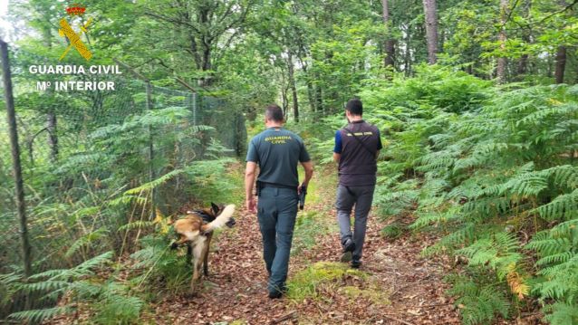 Intervención do Seprona da Garda Civil en Mourente