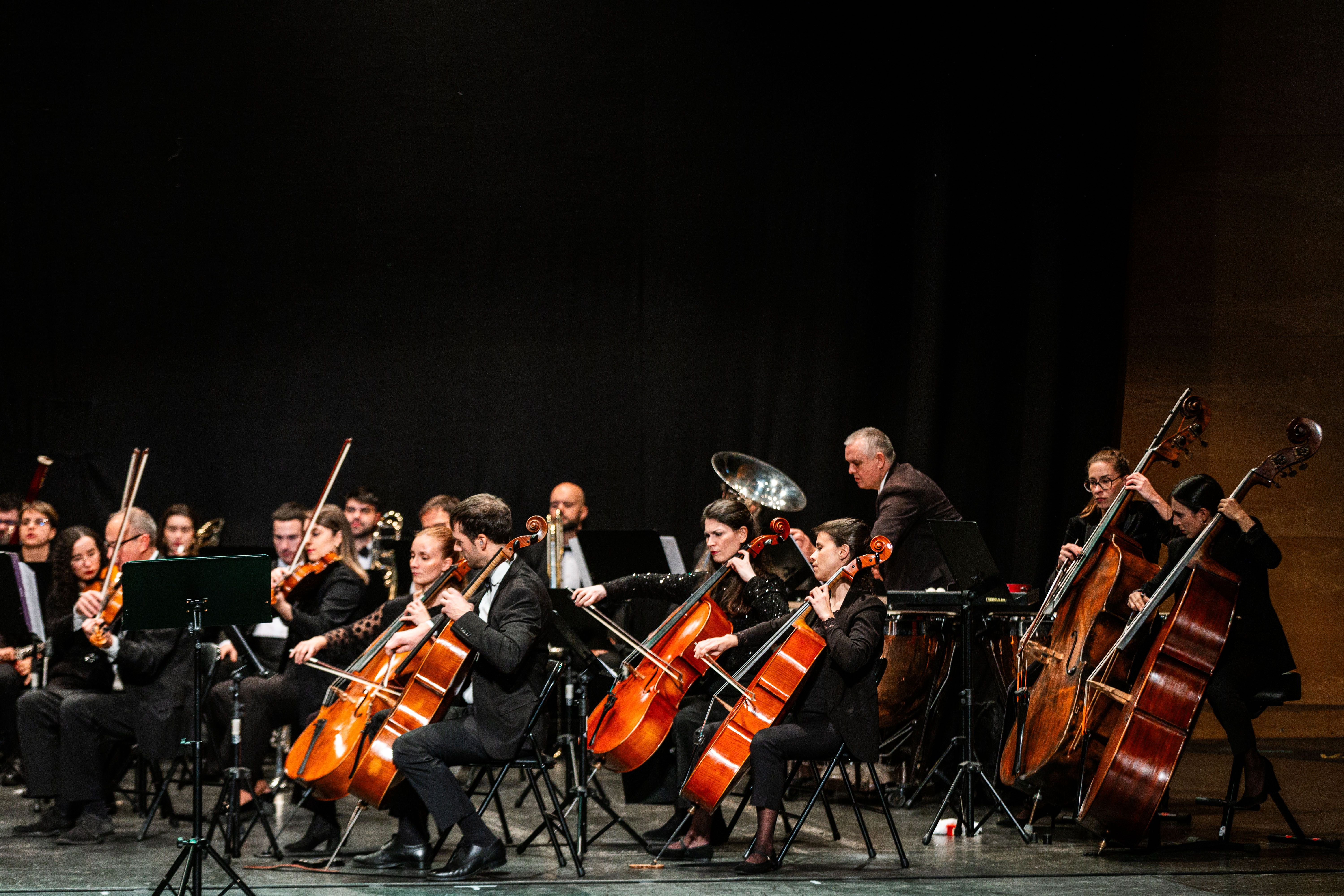 Concerto de Aninovo 2026 Concerto de Aninovo 2026