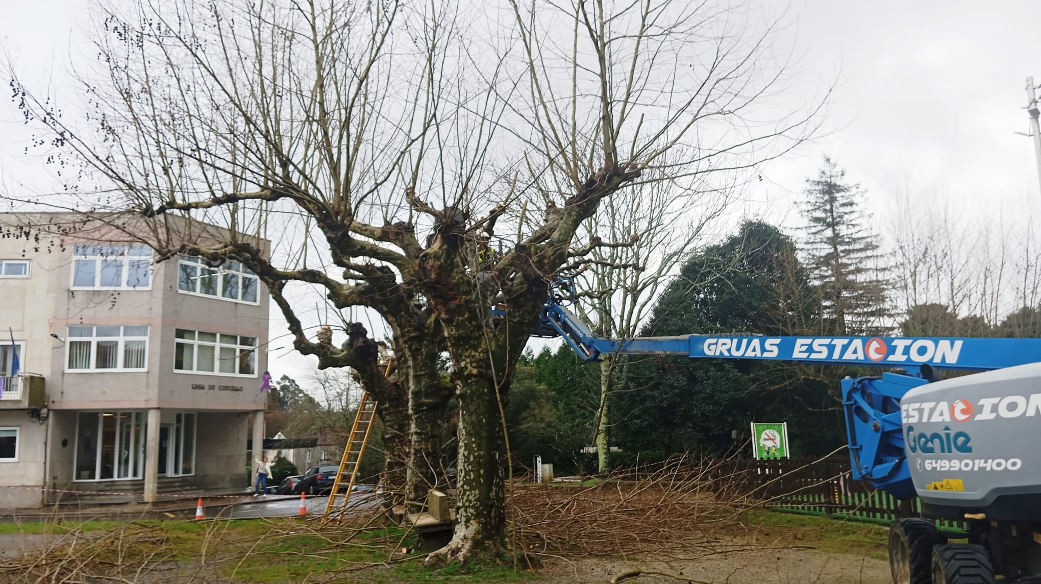 Poda de árboles en Cuntis