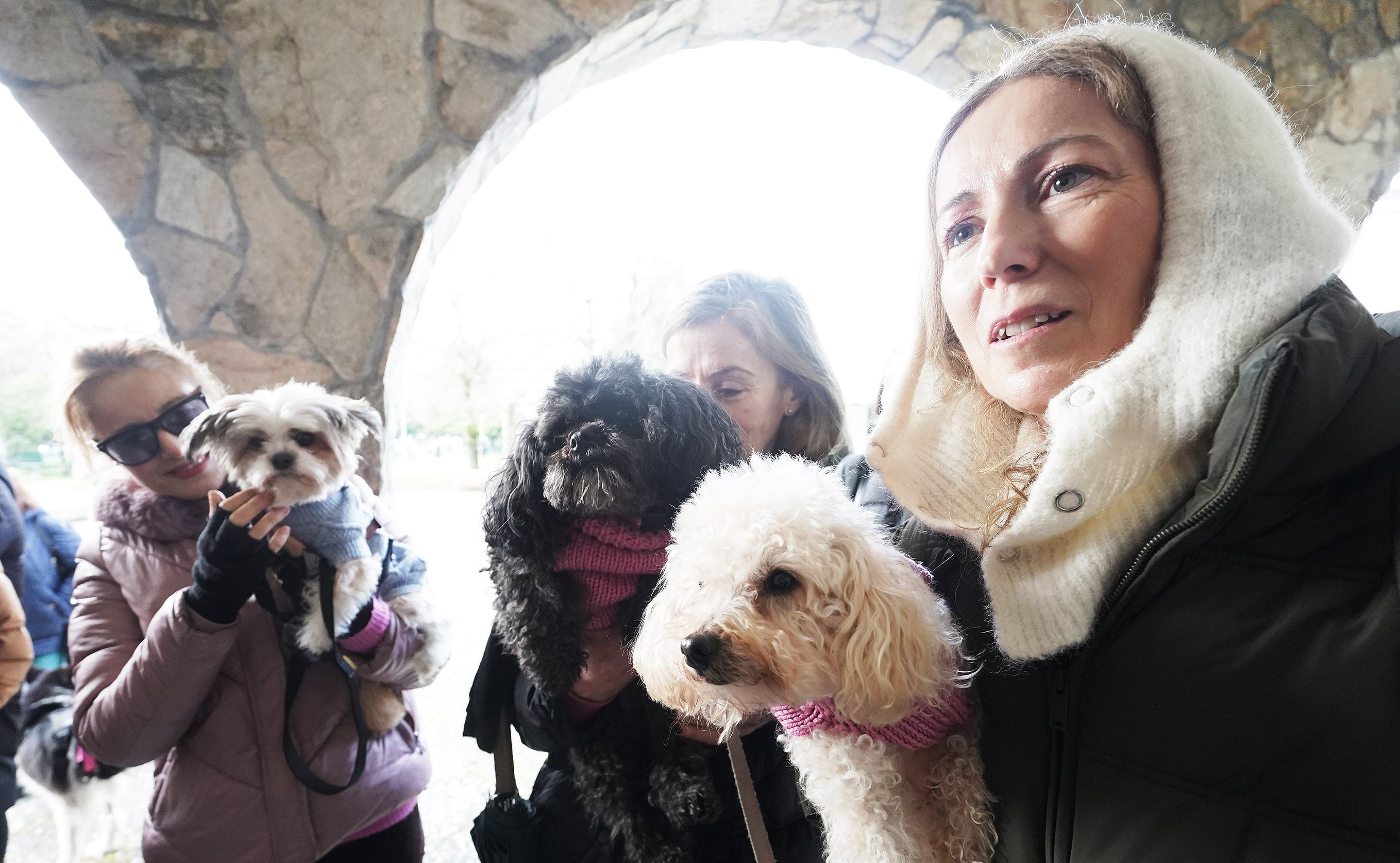 Bendición de animales en Campolongo por el día de San Antón Bendición de animales en Campolongo por el día de San Antón