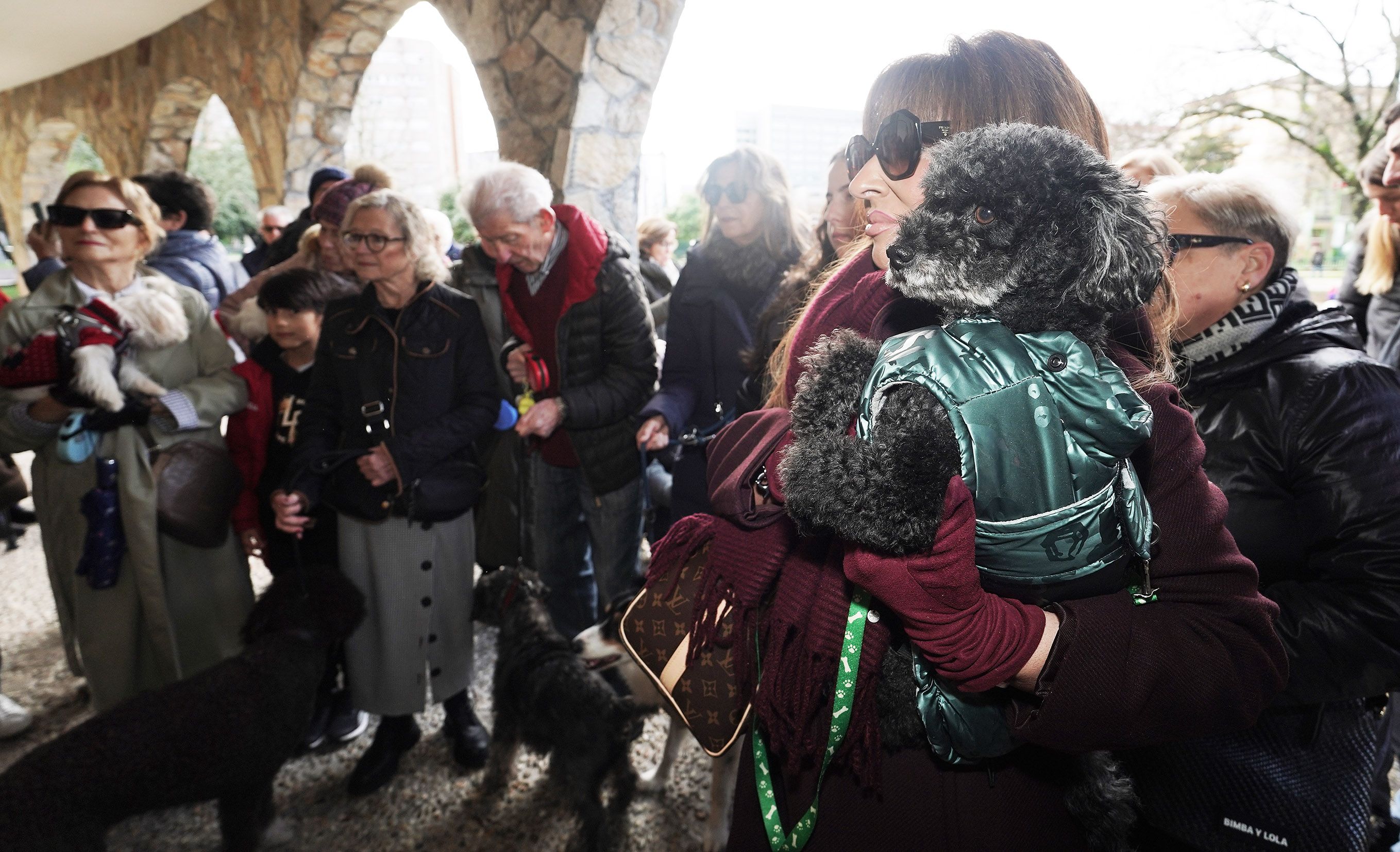 Bendición de animales en Campolongo por el día de San Antón