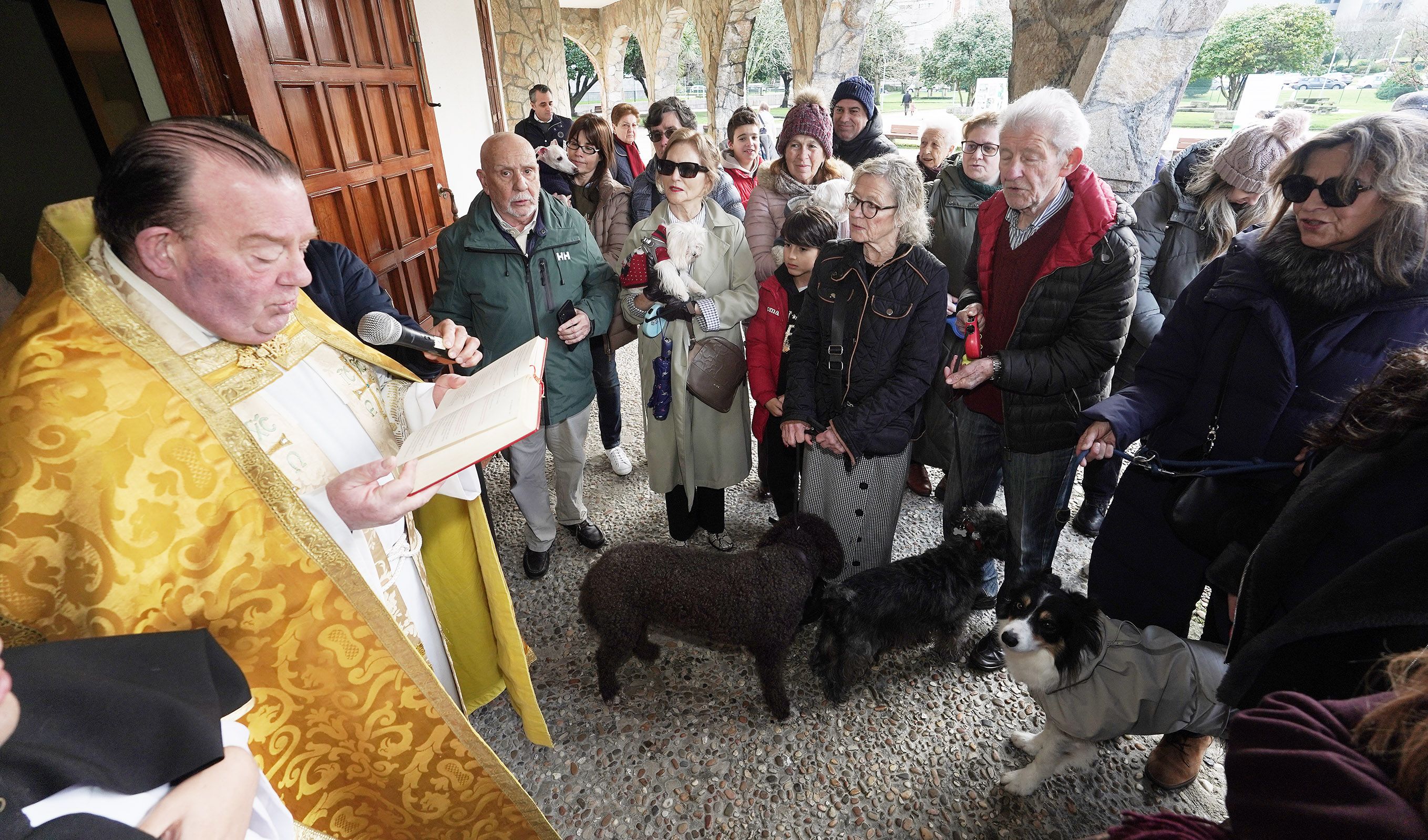Bendición de animales en Campolongo por el día de San Antón Bendición de animales en Campolongo por el día de San Antón