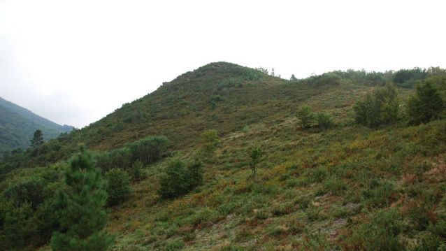 Arredor do Coto Costoa (Cerdedo) aparécese María Mighez