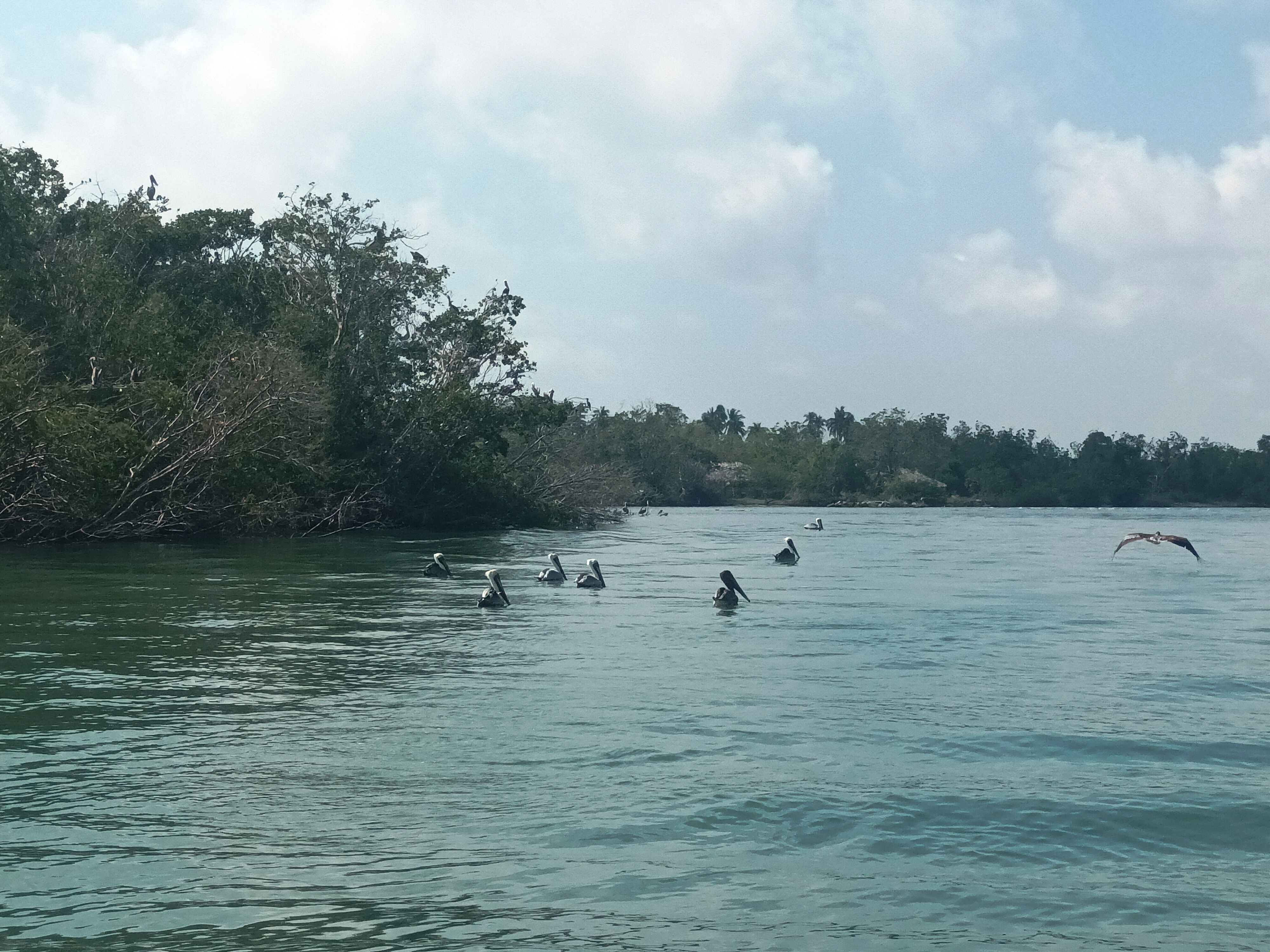 Chacahua, Laguna Grande