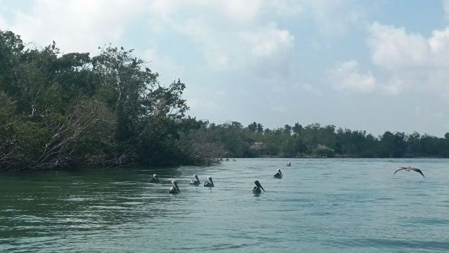 Chacahua, Laguna Grande