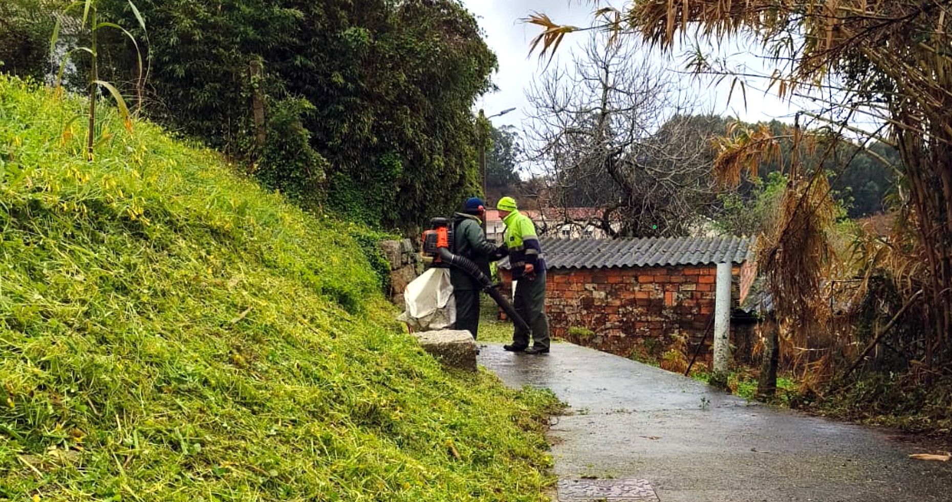 Desbroce de caminos en Raxó