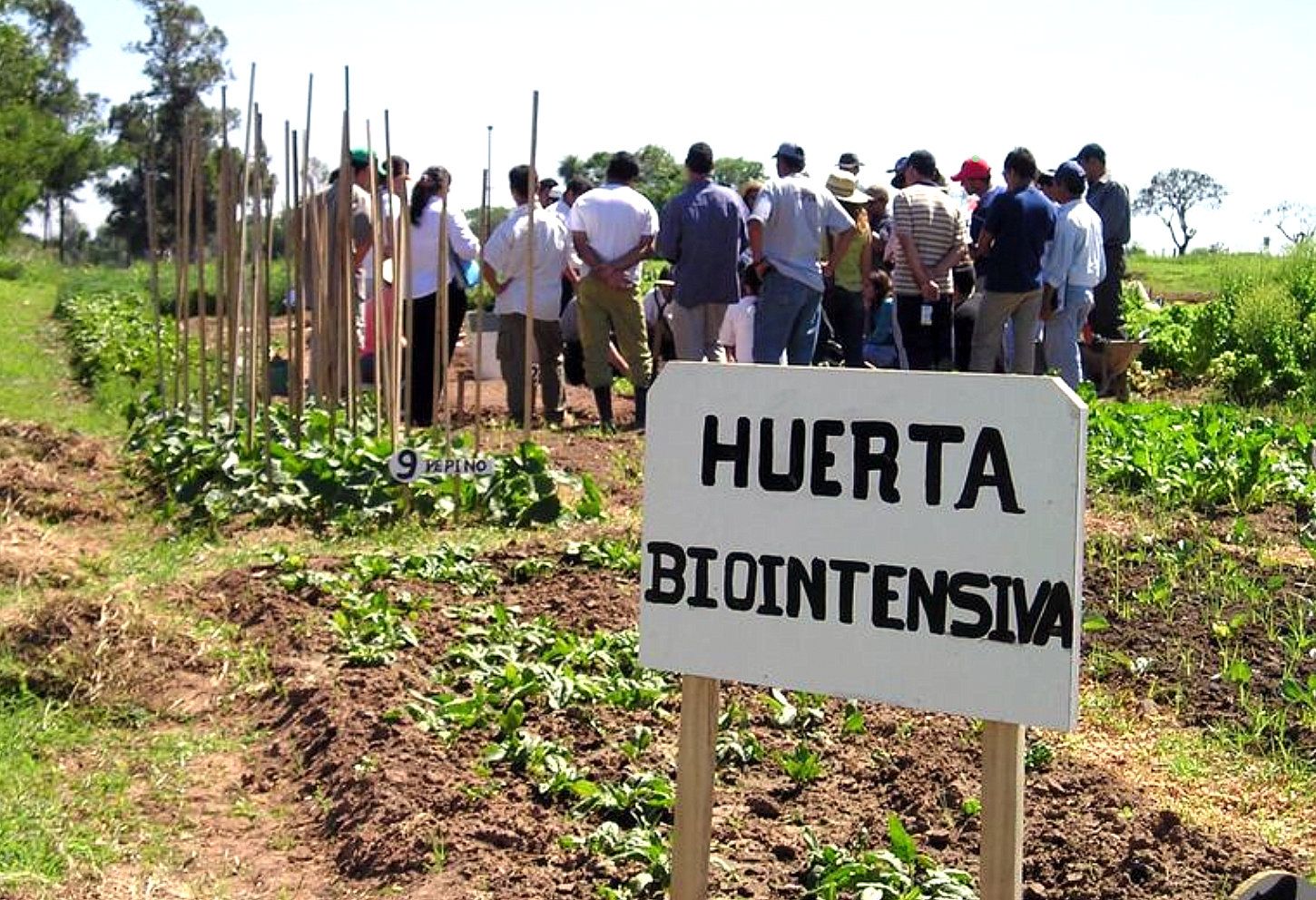Horta biointensiva