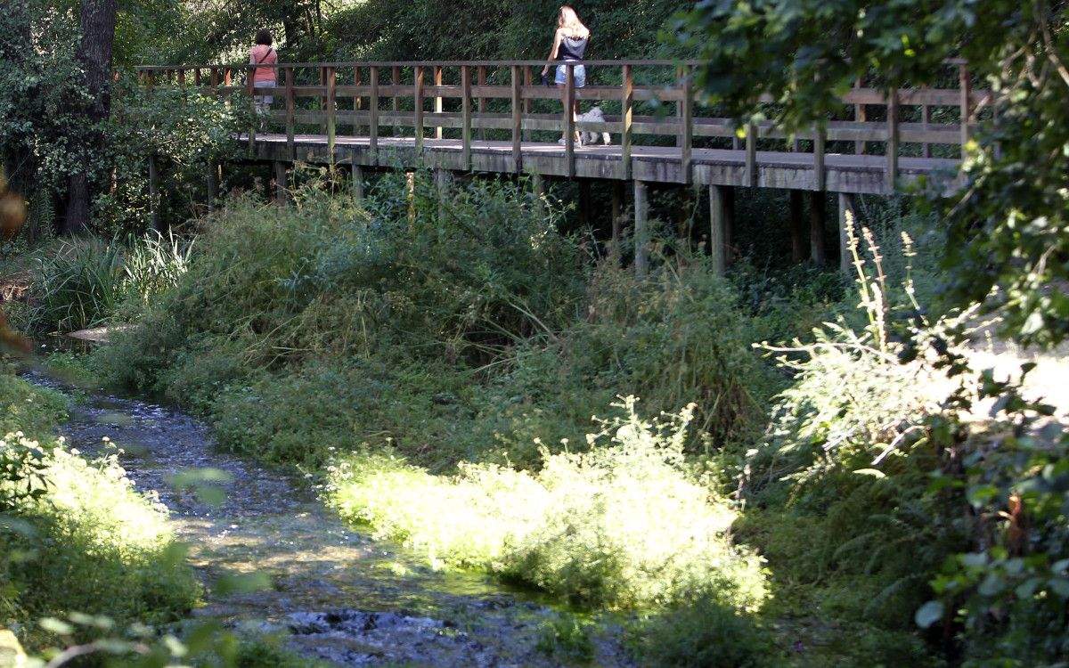 Paseo peonil do río Gafos